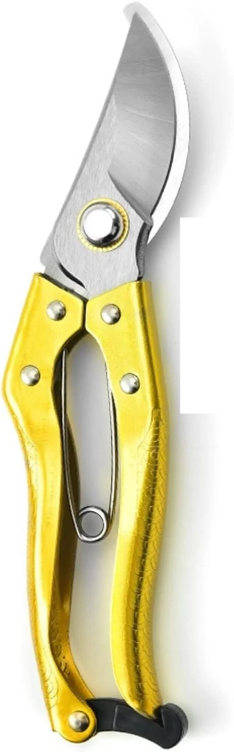 قیچی باغبانی بونسای WANAM، ابزار هرس باغ، قیچی چیدن فولاد کربنی SK5، قیچی بونسای قابل استفاده برای هرس گیاهان گلدانی و چیدن میوه ها (رنگ: طلایی) قیچی باغبانی بونسای WANAM، ابزار هرس باغ، قیچی چیدن فولاد کربنی SK5، قیچی بونسای قابل استفاده برای هرس گیاهان گلدانی و چیدن میوه ها (رنگ: طلایی)