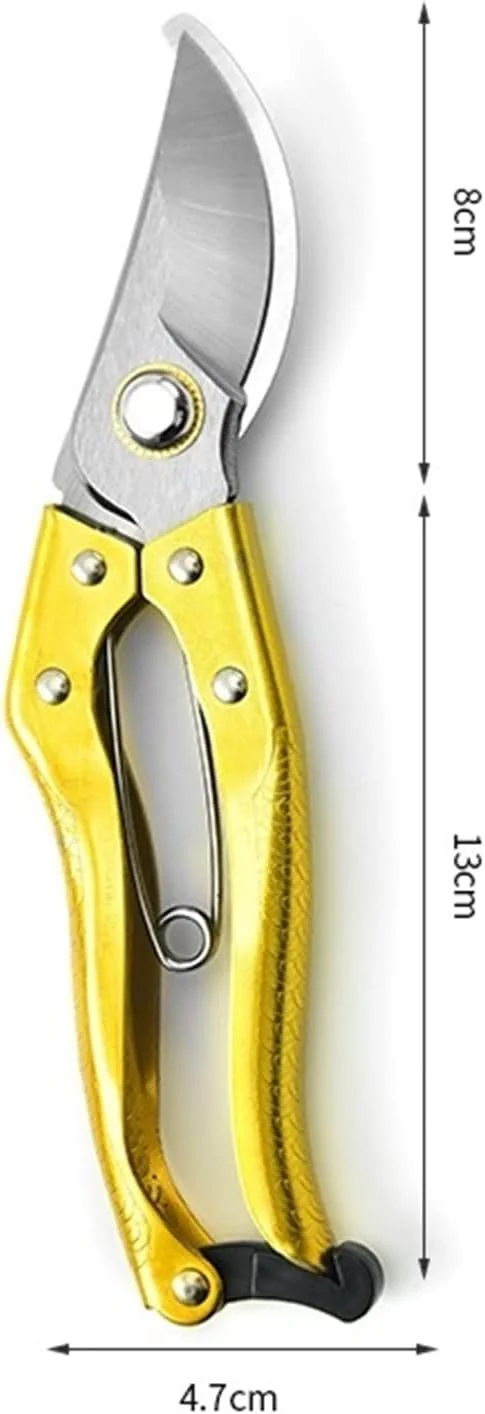 قیچی باغبانی بونسای WANAM، ابزار هرس باغ، قیچی چیدن فولاد کربنی SK5، قیچی بونسای قابل استفاده برای هرس گیاهان گلدانی و چیدن میوه ها (رنگ: طلایی) قیچی باغبانی بونسای WANAM، ابزار هرس باغ، قیچی چیدن فولاد کربنی SK5، قیچی بونسای قابل استفاده برای هرس گیاهان گلدانی و چیدن میوه ها (رنگ: طلایی)