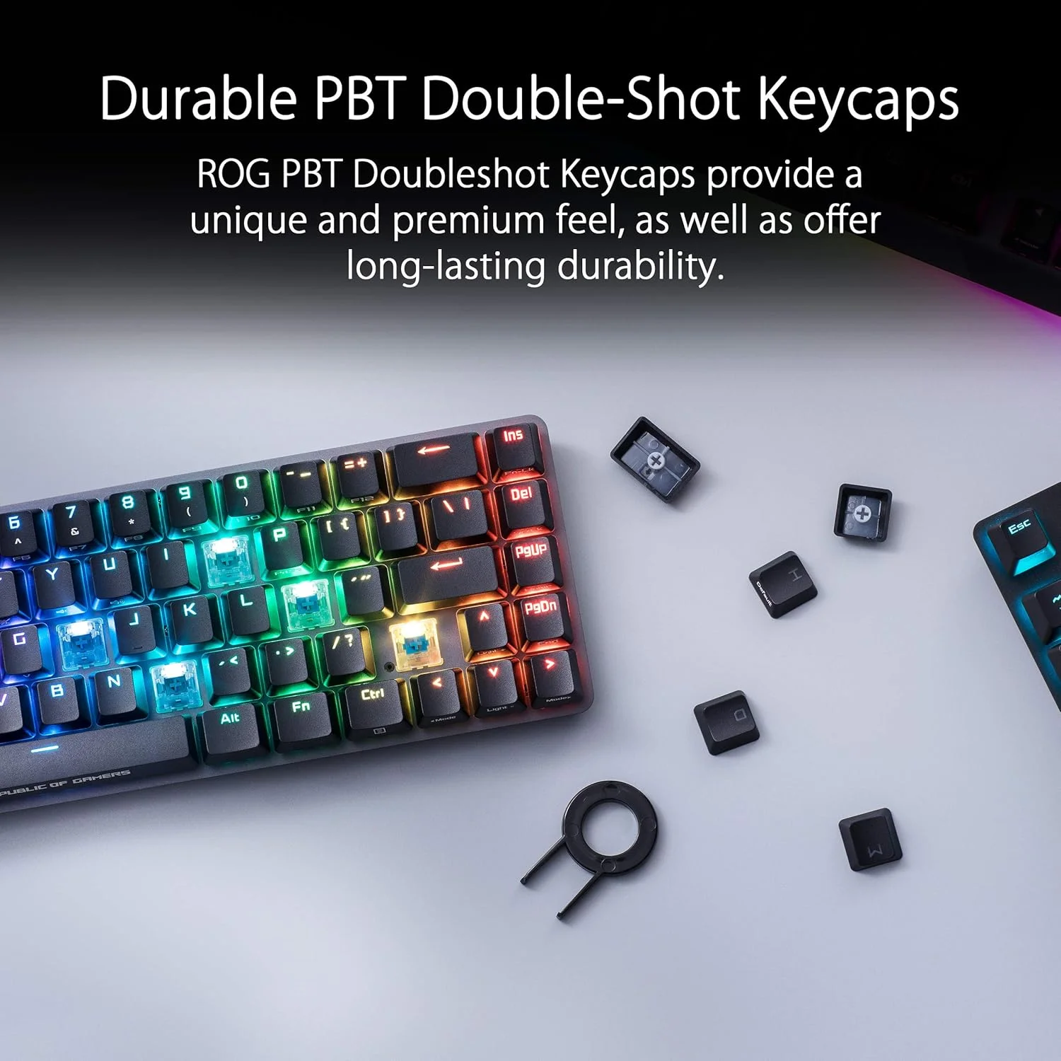 کیبورد مکانیکی گیمینگ بی سیم RGB مدل ASUS ROG Falchion NX 65% | سوییچ های کلیکی آبی ROG NX، کلیدهای PBT Doubleshot، اتصال سیمی / 2.4 گیگاهرتز، پنل لمسی، کاور کیبورد، پشتیبانی از ماکرو، مشکی/خاکستری
