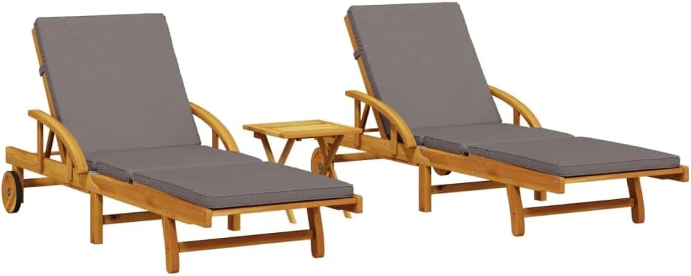 ویلا ایکس ال صندلی آفتابگیر 2 عددی با میز، تخت آفتاب برای پاسیو باغ در فضای باز، تخت خواب روز با پشتی، تخت استراحت، سبک مدرن، چوب جامد اقاقیا