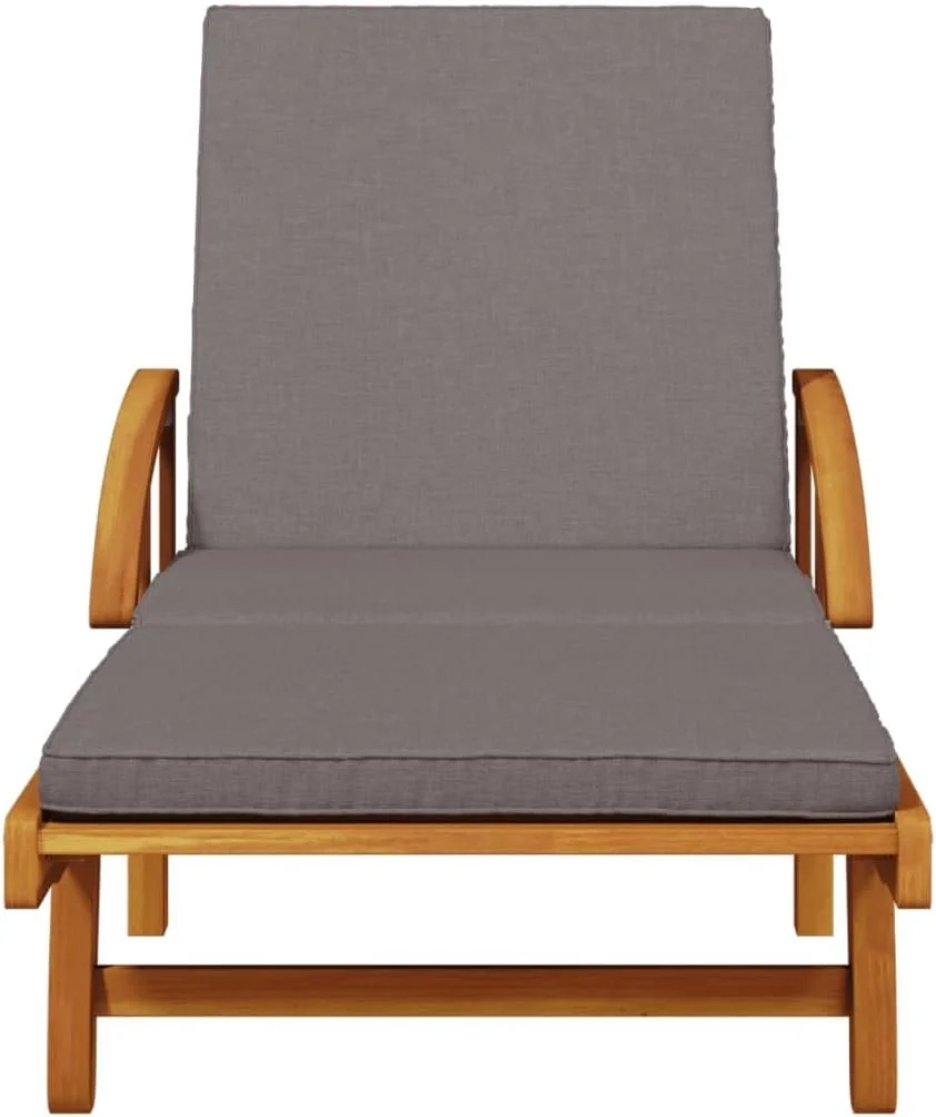 ویلا ایکس ال صندلی آفتابگیر 2 عددی با میز، تخت آفتاب برای پاسیو باغ در فضای باز، تخت خواب روز با پشتی، تخت استراحت، سبک مدرن، چوب جامد اقاقیا ویلا ایکس ال صندلی آفتابگیر 2 عددی با میز، تخت آفتاب برای پاسیو باغ در فضای باز، تخت خواب روز با پشتی، تخت استراحت، سبک مدرن، چوب جامد اقاقیا