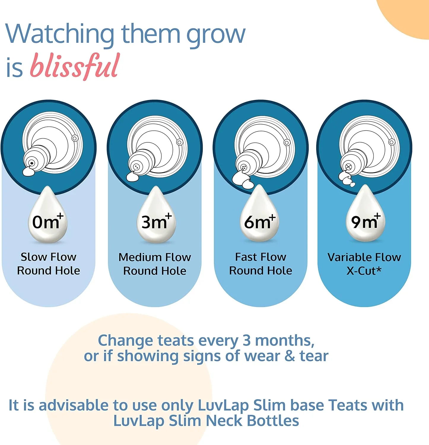 شیشه شیر نوزاد لاو لاپ با گردن باریک، 250 میلی لیتر، بسته 2 عددی، طرح گل وحشی و داستان های جنگل شیشه شیر نوزاد لاو لاپ با گردن باریک، 250 میلی لیتر، بسته 2 عددی، طرح گل وحشی و داستان های جنگل