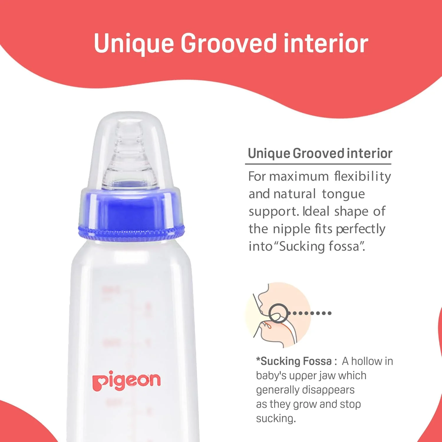 شیشه شیر نوزاد پیژن با سرشیشه پره ای KPP سایز L، مناسب برای نوزادان 9+ ماه، فاقد BPA و BPS، آبی و سفید، 240 میلی لیتر، بسته 2 عددی