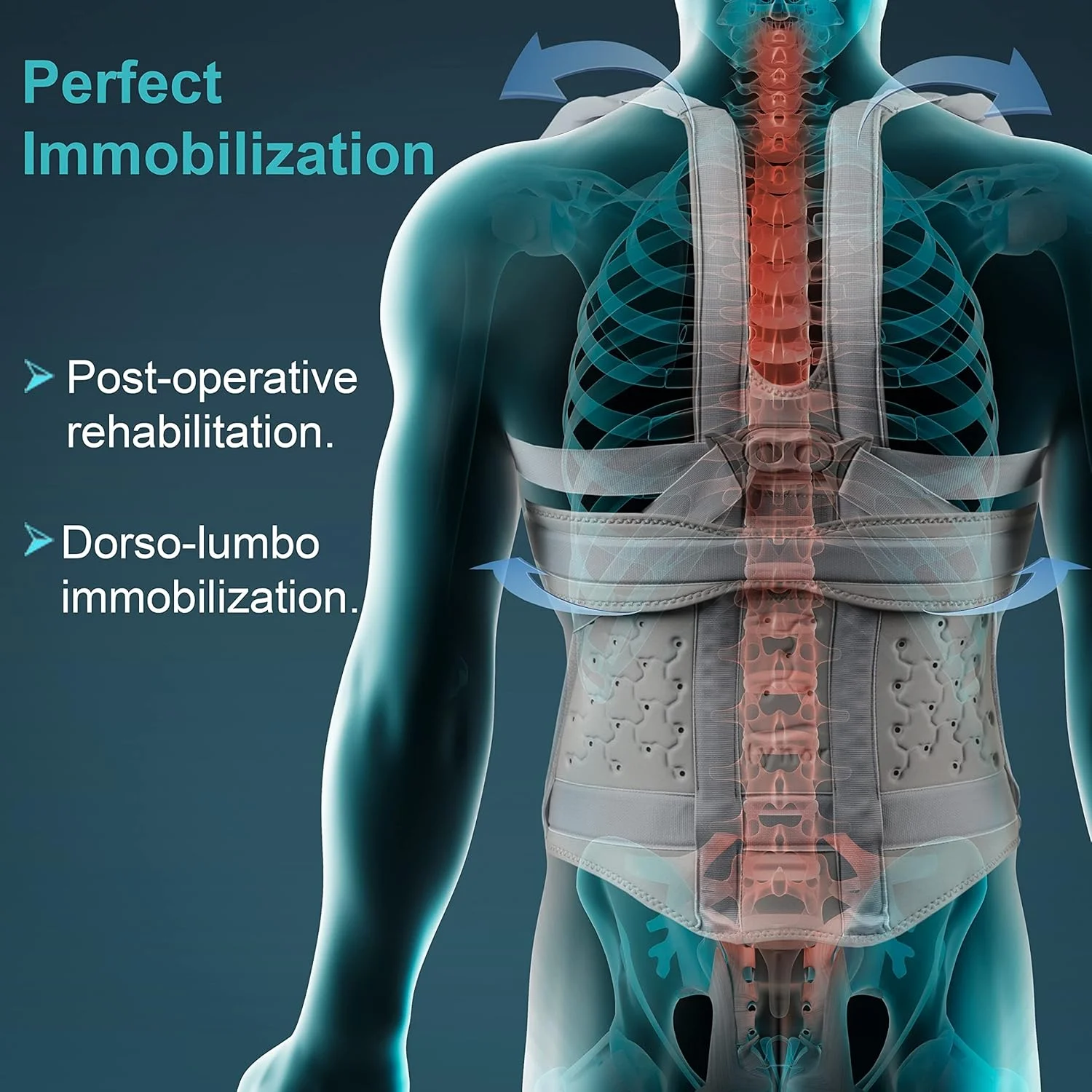 کمربند طبی تیلور Tynor Urbane کوتاه، خاکستری، XXL، 1 عدد
