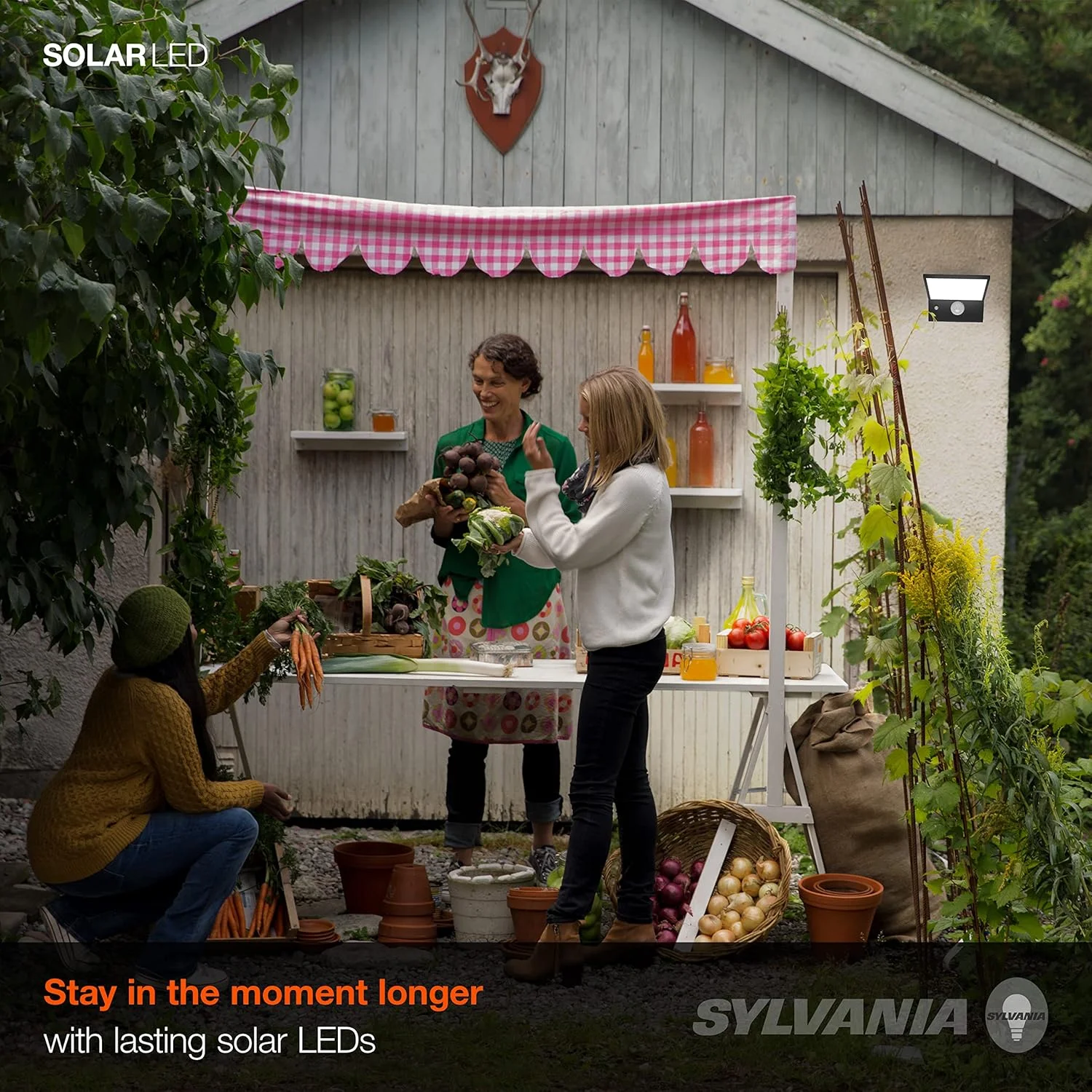 چراغ LED خورشیدی LEDVANCE Sylvania با سنسور نور روز، شامل LED و باتری، 5000K، نور روز، روکش مشکی - 1 عدد (65000) چراغ LED خورشیدی LEDVANCE Sylvania با سنسور نور روز، شامل LED و باتری، 5000K، نور روز، روکش مشکی - 1 عدد (65000)