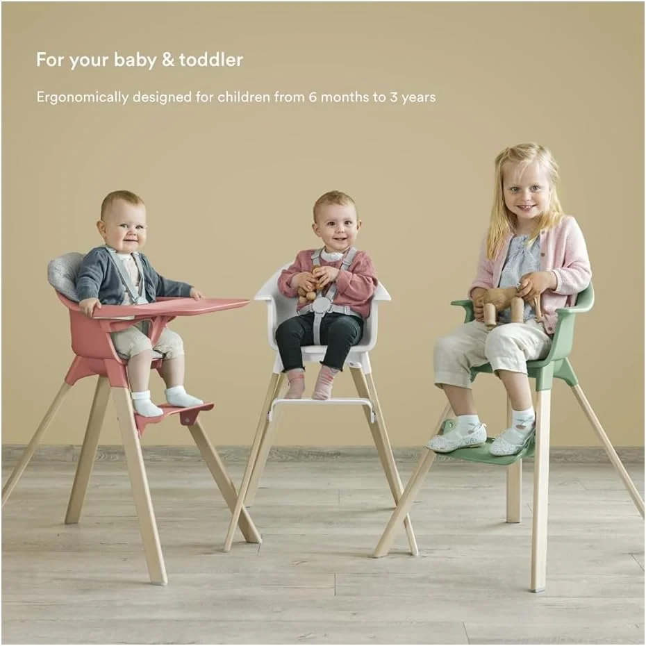 صندلی غذای کودک استوکه کلیک، آبی فیروزه ای - صندلی غذای همه کاره با سینی + کمربند ایمنی - سبک، بادوام و مناسب سفر - ارگونومیک با ویژگی های قابل تنظیم - بهترین برای 6-36 ماه یا تا 15 کیلوگرم صندلی غذای کودک استوکه کلیک، آبی فیروزه ای - صندلی غذای همه کاره با سینی + کمربند ایمنی - سبک، بادوام و مناسب سفر - ارگونومیک با ویژگی های قابل تنظیم - بهترین برای 6-36 ماه یا تا 15 کیلوگرم