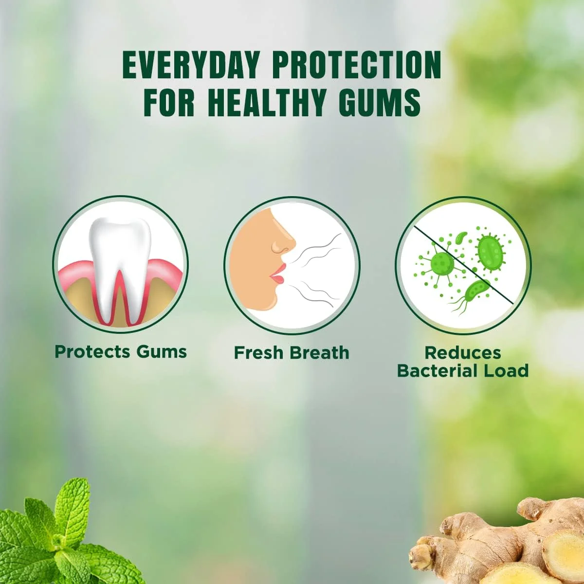 خمیر دندان گیاهی دابور هربل پلاس 150 گرمی به همراه مسواک بامبو رایگان | با زنجبیل و نعناع | برای لثه های سالم و تنفس تازه خمیر دندان گیاهی دابور هربل پلاس 150 گرمی به همراه مسواک بامبو رایگان | با زنجبیل و نعناع | برای لثه های سالم و تنفس تازه