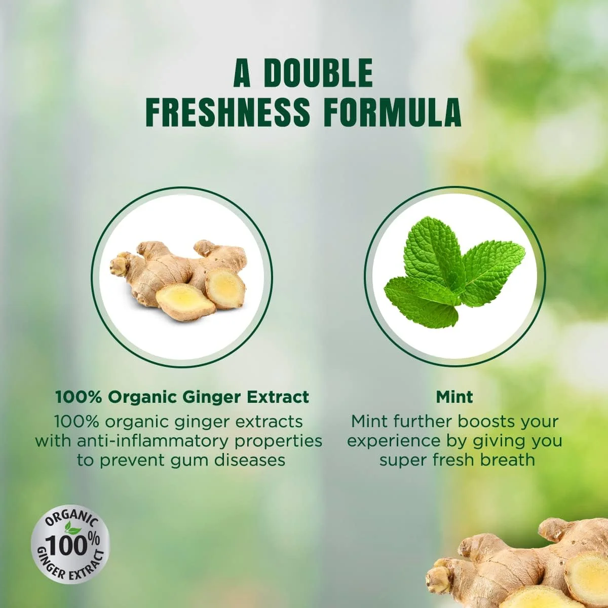 خمیر دندان گیاهی دابور هربل پلاس 150 گرمی به همراه مسواک بامبو رایگان | با زنجبیل و نعناع | برای لثه های سالم و تنفس تازه خمیر دندان گیاهی دابور هربل پلاس 150 گرمی به همراه مسواک بامبو رایگان | با زنجبیل و نعناع | برای لثه های سالم و تنفس تازه