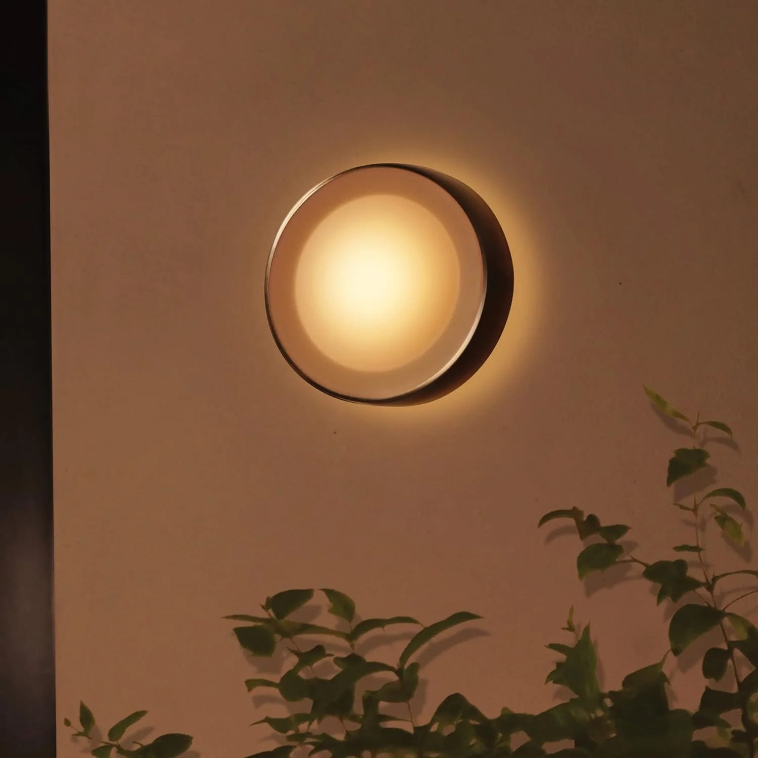 چراغ دیواری هوشمند LED فضای باز Philips Hue Daylo White & Colour Ambiance، برای باغ خانه، پاسیو. [INOX] سازگار با الکسا، دستیار گوگل و Apple Homekit