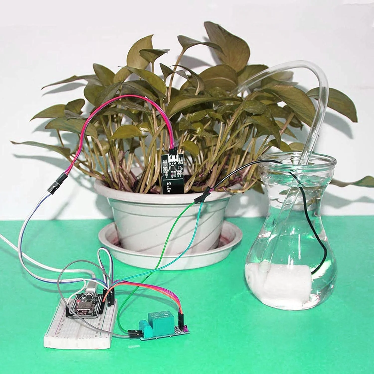 پمپ آب مینیاتوری غوطه ور Auto-plaza، 4 عدد، DC 3V-5V با مجموعه لوله وینیل شفاف 10 فوتی برای آکواریوم، باغ و گیاهان