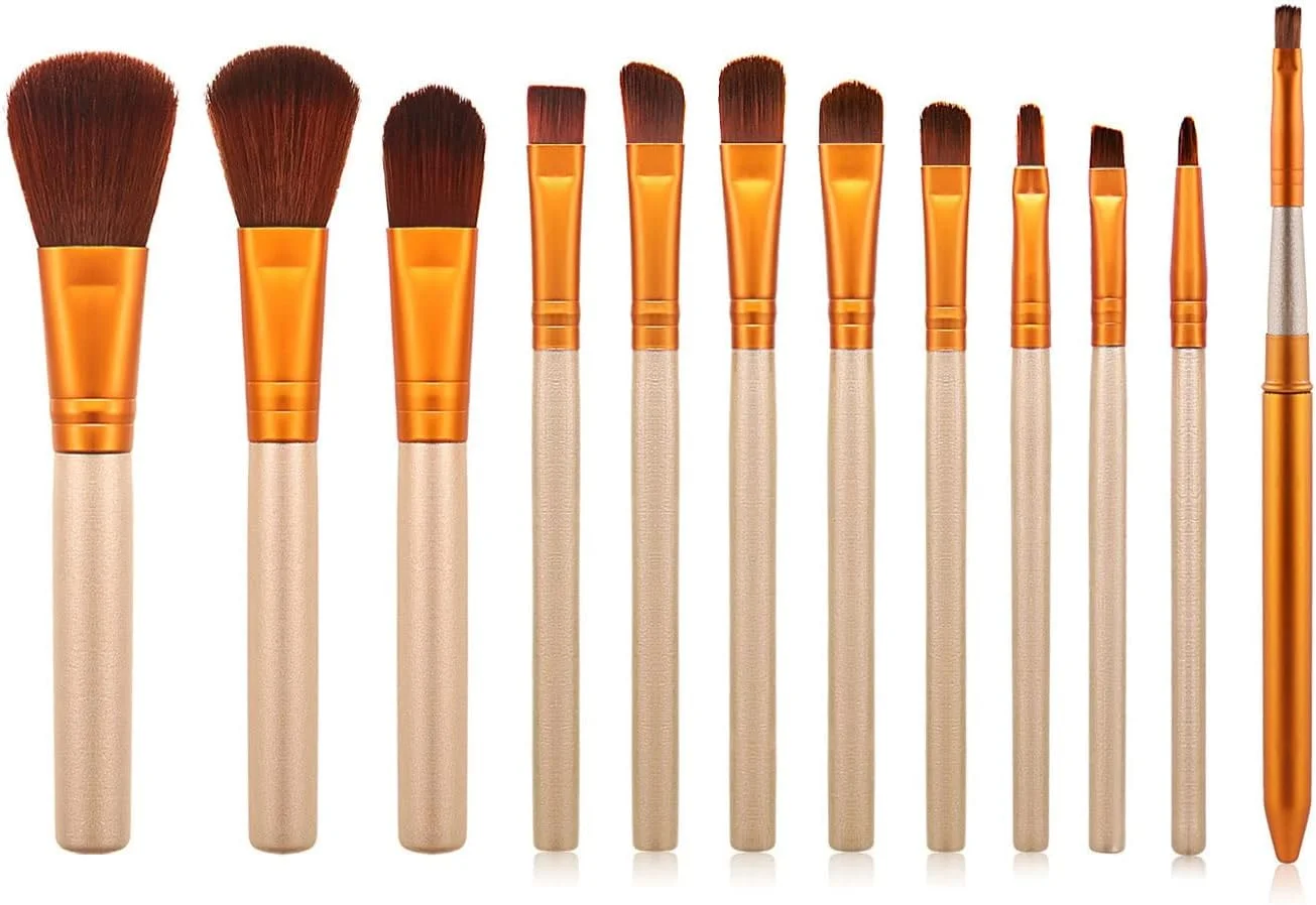 ست برس آرایشی هودور، مجموعه 12 عددی برس لوازم آرایشی جعبه آهنی قابل حمل ابزار آرایشی برس بوتیک آرایش