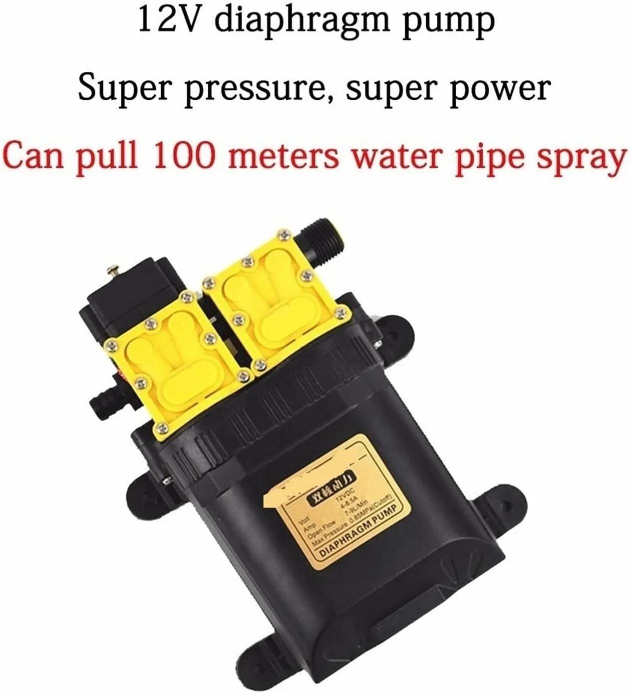 پمپ وکیوم DC 12 ولت 125psi 9 لیتر در دقیقه پمپ آب برقی کشاورزی پمپ دوگانه پمپ دیافراگمی فشار قوی میکرو کارواش آب پاش