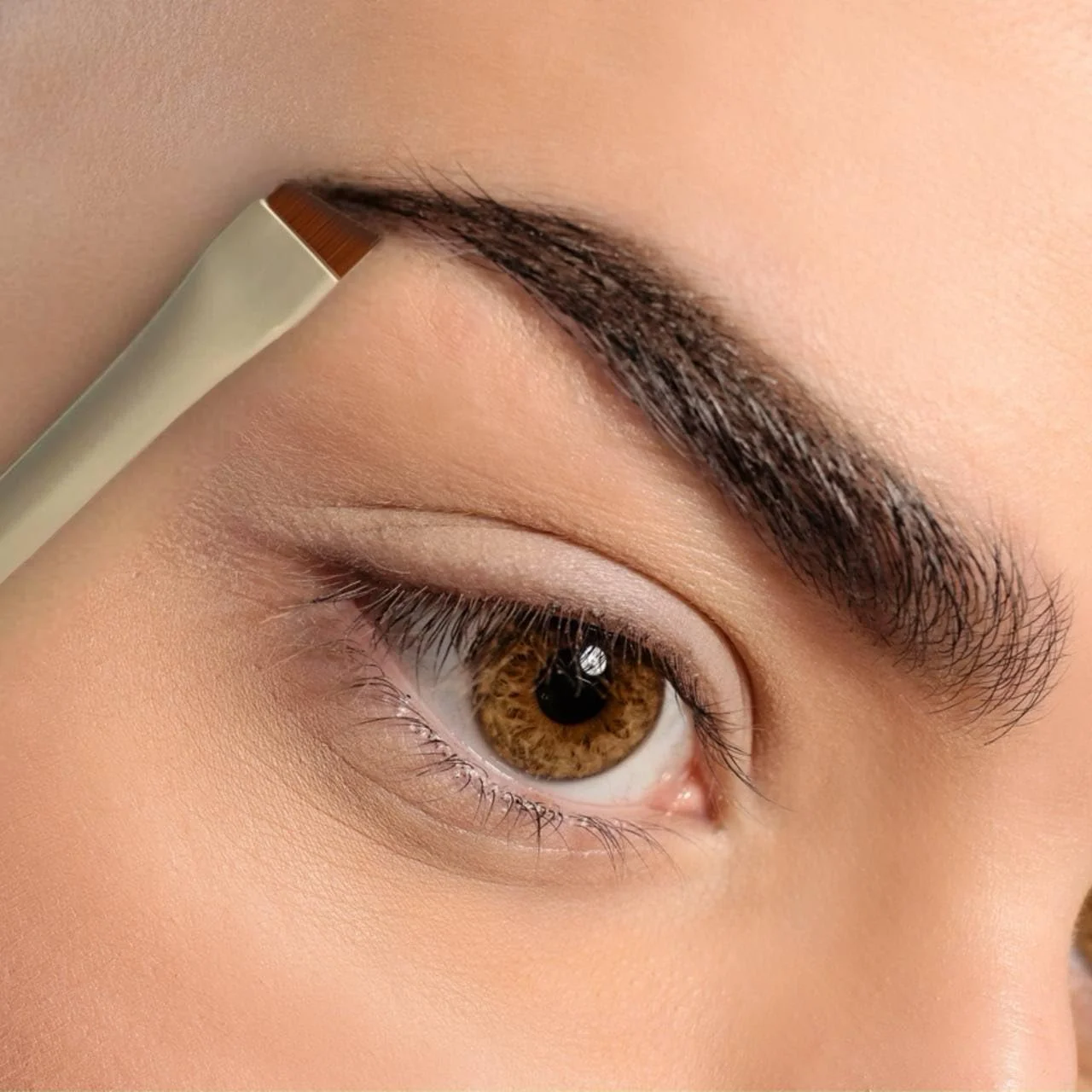 ست برس ابرو و خط چشم زاویه دار - 6 ابزار فوق العاده نازک و دقیق (خمیده، پهن و باریک) برای پودر، ژل، رنگ و پماد - کیت حرفه ای برای ابرو و آرایش چشم