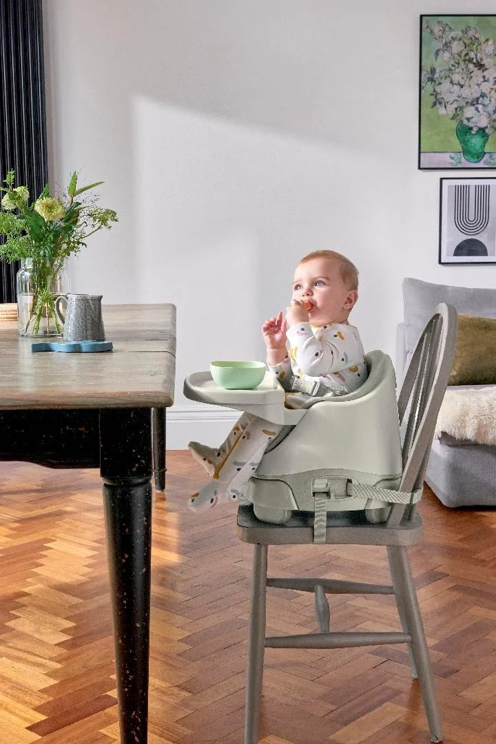 صندلی غذای کودک ماما و پاپا مدل Baby Bug، سینی جداشدنی، کمربند ایمنی، صندلی قابل تنظیم، پایه های ضد لغزش، رنگ خاک رس