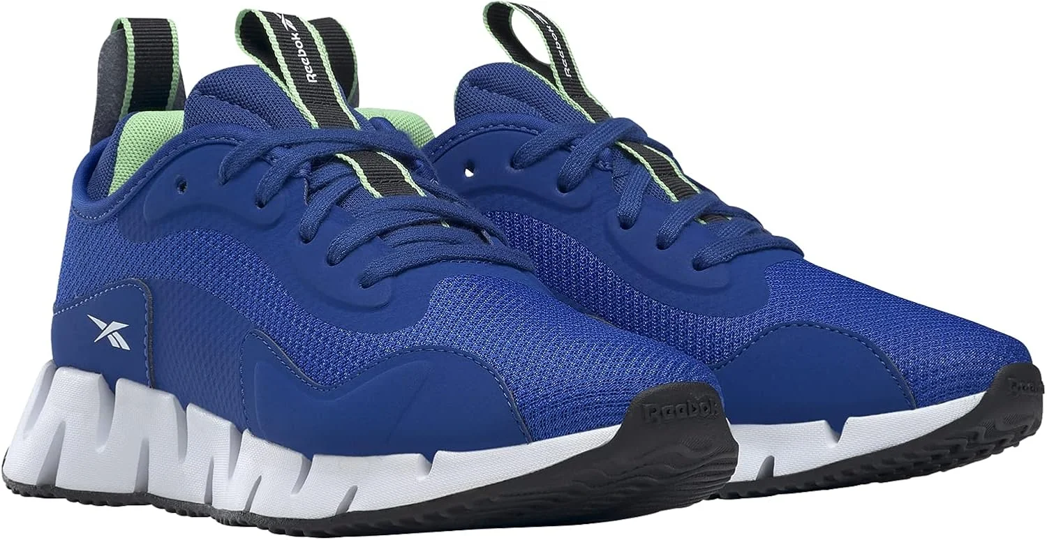 کفش دویدن مردانه ریباک زیگ دینامیکا