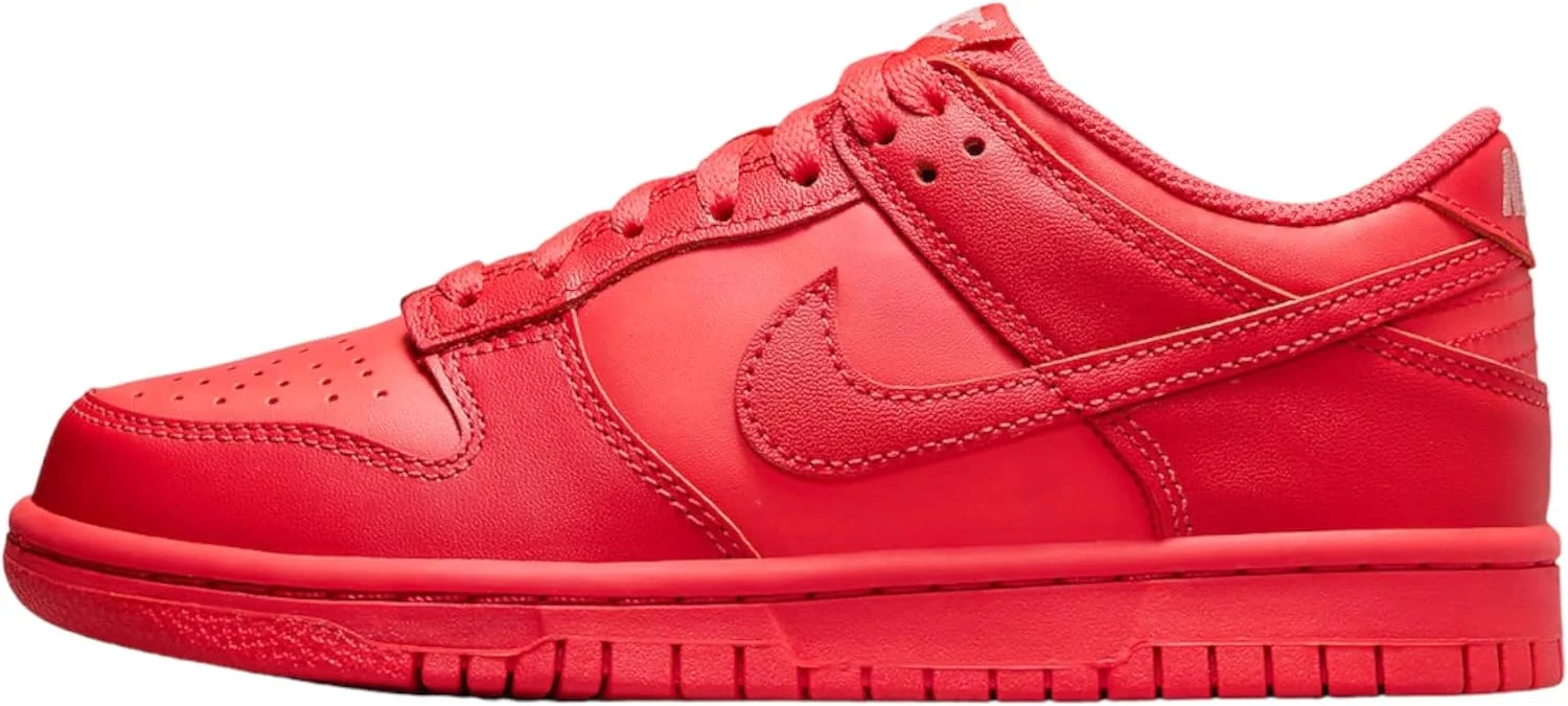 کفش بسکتبال پسرانه نایک Nike Dunk Low (Gs)