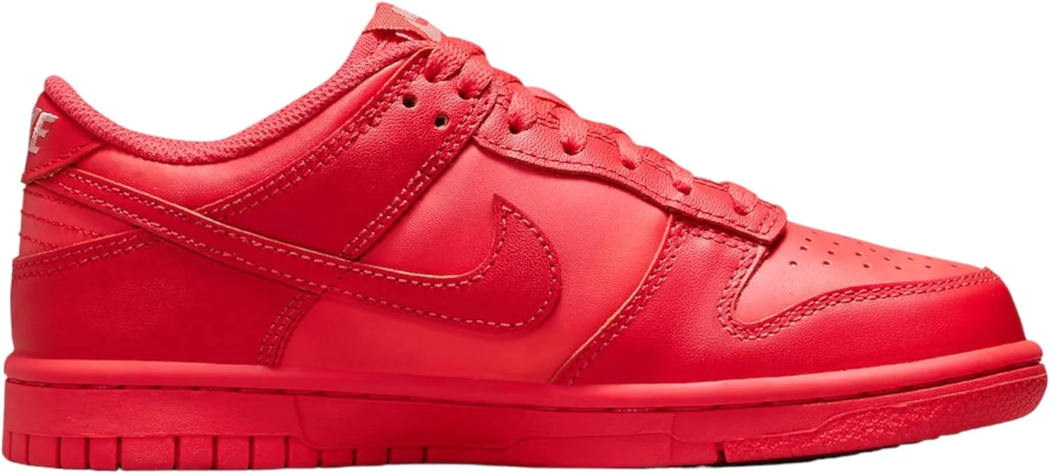 کفش بسکتبال پسرانه نایک Nike Dunk Low (Gs)