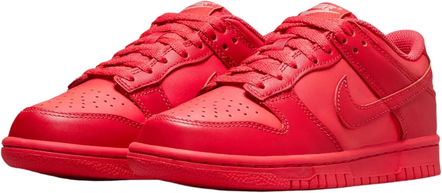 کفش بسکتبال پسرانه نایک Nike Dunk Low (Gs)