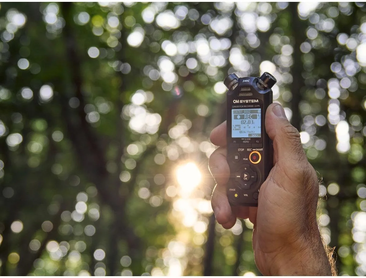 ضبط کننده PCM مدل OM System LS-P5 با میکروفون سه گانه Tresmic، بلوتوث، حالت میکروفون USB ترکیبی، صدای با وضوح بالا، فیلتر Low-Cut، حافظه داخلی 16 گیگابایتی ضبط کننده PCM مدل OM System LS-P5 با میکروفون سه گانه Tresmic، بلوتوث، حالت میکروفون USB ترکیبی، صدای با وضوح بالا، فیلتر Low-Cut، حافظه داخلی 16 گیگابایتی