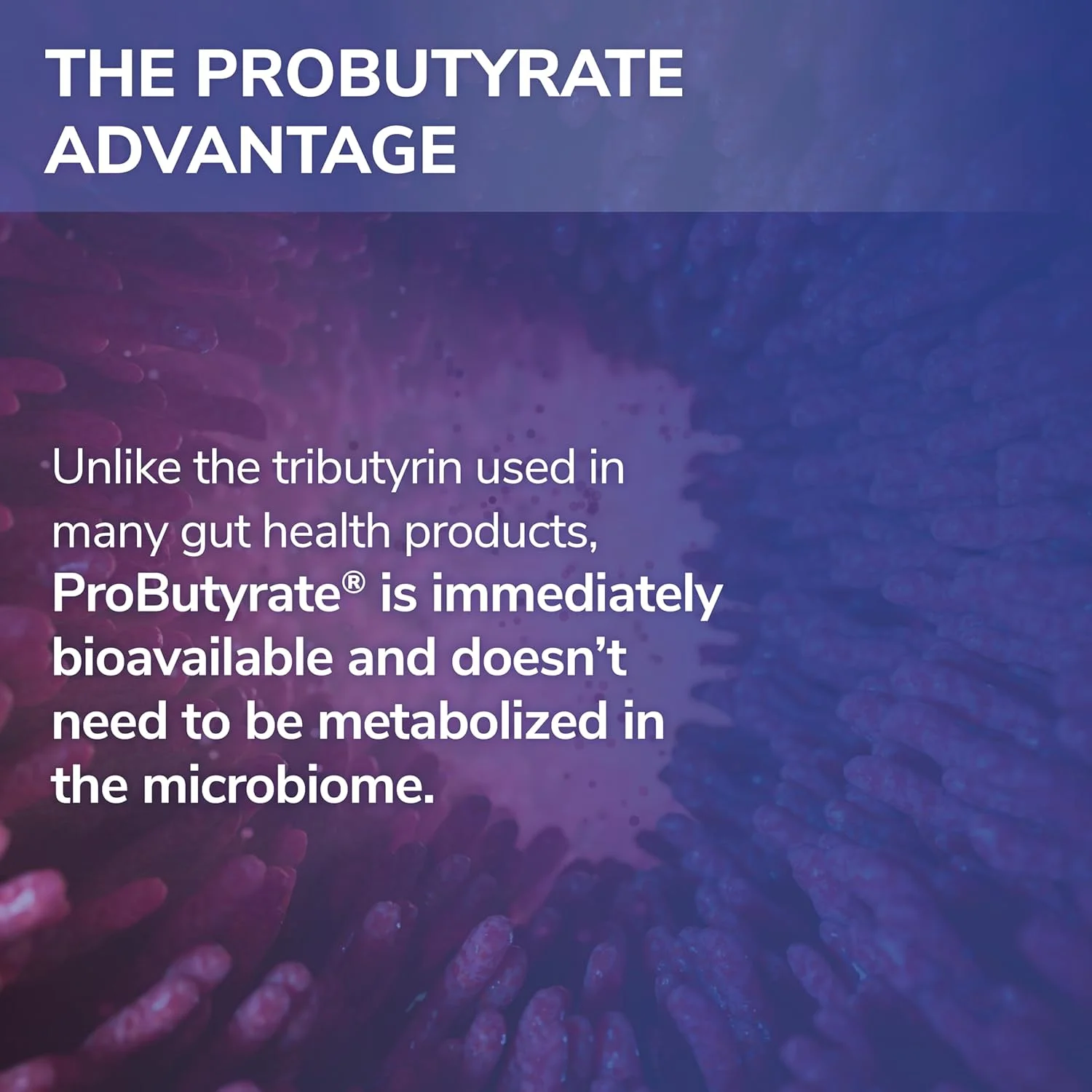 تسرکت مدیکال ریسرچ پروبیوتیرات، اسید بوتیریک 300 میلی گرم، مکمل گوارشی، 120 کپسول تسرکت مدیکال ریسرچ پروبیوتیرات، اسید بوتیریک 300 میلی گرم، مکمل گوارشی، 120 کپسول