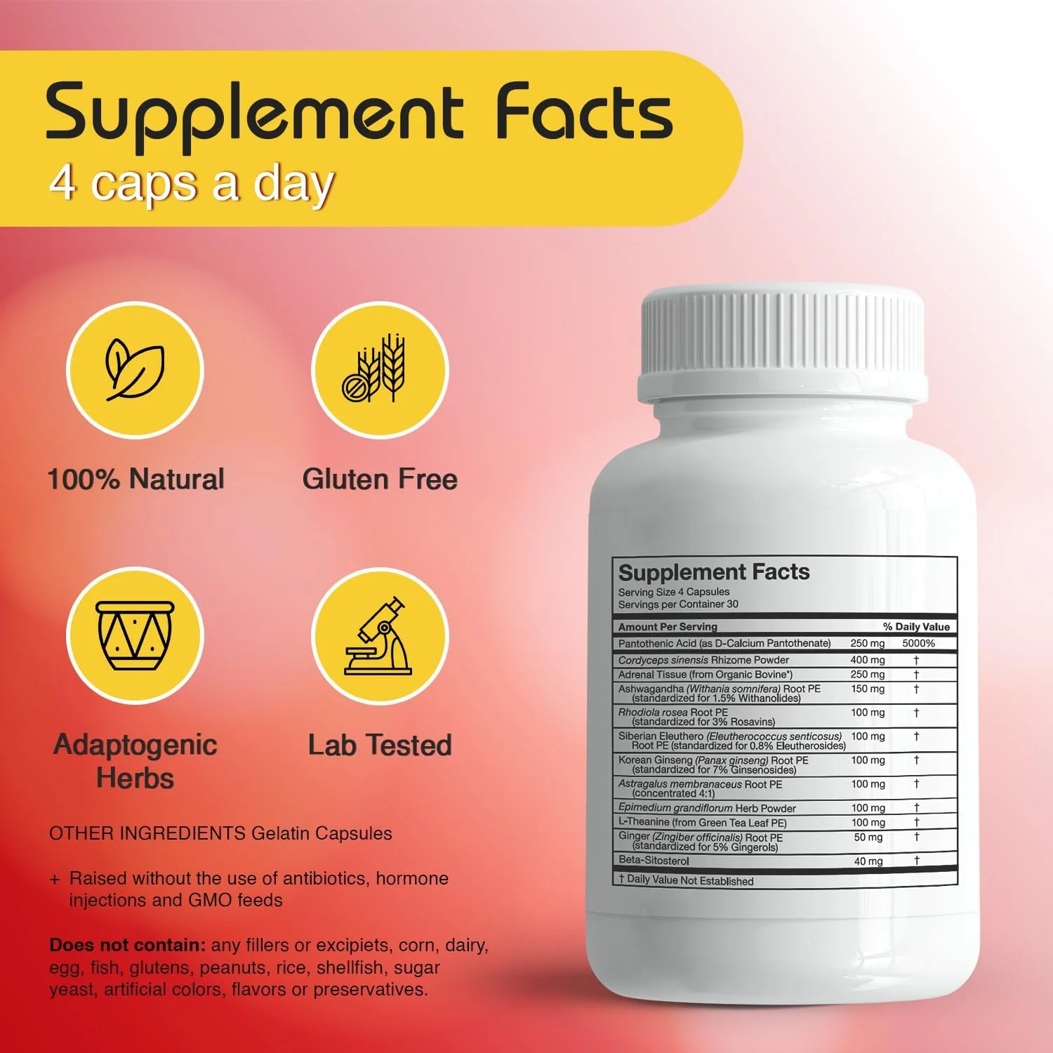 آر ال سی لبز - مکمل غذایی آ-درنال 120 کپسول 129674