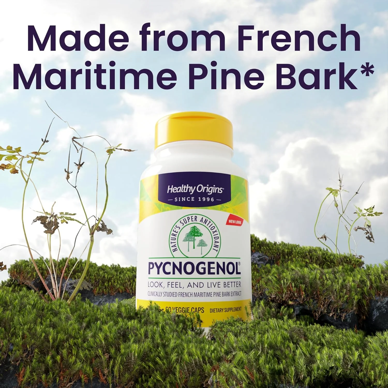 Healthy Origins Pycnogenol 100 mg - عصاره ممتاز پوست درخت کاج - عصاره پوست درخت کاج دریایی فرانسوی برای سلامت قلب، مراقبت از پوست و موارد دیگر - مکمل بدون گلوتن و غیر GMO - 60 کپسول گیاهی Healthy Origins Pycnogenol 100 mg - عصاره ممتاز پوست درخت کاج - عصاره پوست درخت کاج دریایی فرانسوی برای سلامت قلب، مراقبت از پوست و موارد دیگر - مکمل بدون گلوتن و غیر GMO - 60 کپسول گیاهی