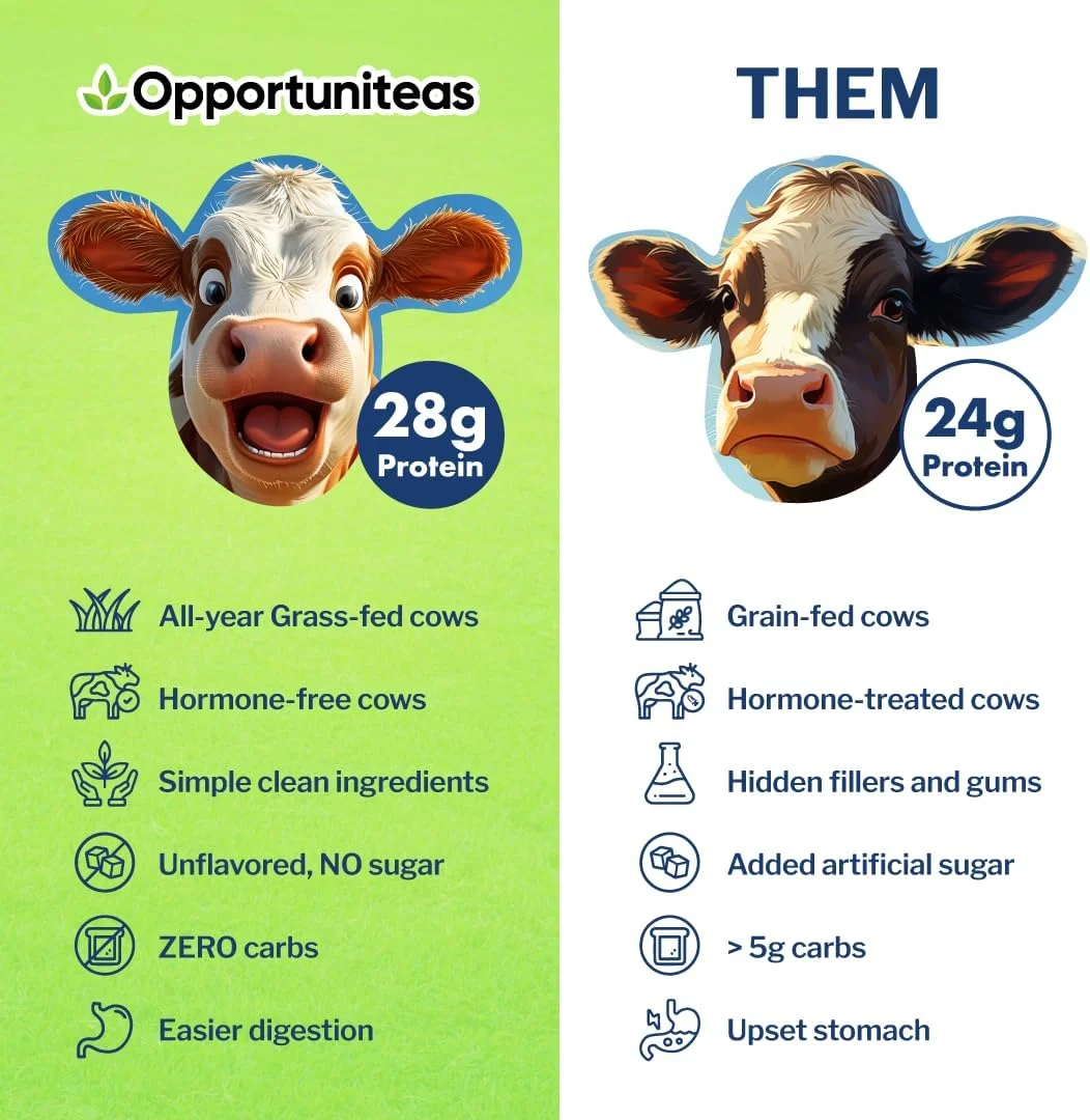 پودر پروتئین وی ایزوله تغذیه شده با علف Opportuniteas، طبیعی، بدون طعم، مخلوط آسان، غیر GMO و بدون گلوتن 0.5 کیلوگرم (454 گرم) پودر پروتئین وی ایزوله تغذیه شده با علف Opportuniteas، طبیعی، بدون طعم، مخلوط آسان، غیر GMO و بدون گلوتن 0.5 کیلوگرم (454 گرم)