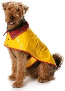 الگوی خیاطی پالتو سگ Burda B7752، ابعاد 19x13 سانتی متر الگوی خیاطی پالتو سگ Burda B7752، ابعاد 19x13 سانتی متر