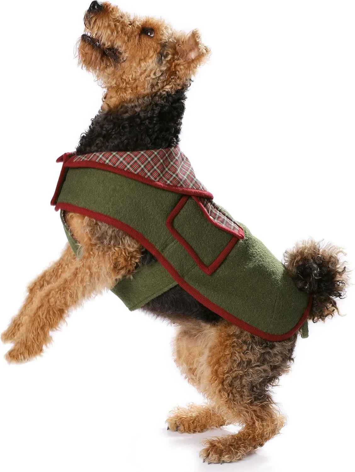 الگوی خیاطی پالتو سگ Burda B7752، ابعاد 19x13 سانتی متر الگوی خیاطی پالتو سگ Burda B7752، ابعاد 19x13 سانتی متر