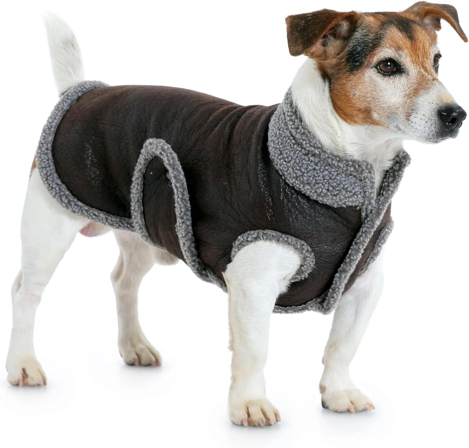 الگوی خیاطی پالتو سگ Burda B7752، ابعاد 19x13 سانتی متر الگوی خیاطی پالتو سگ Burda B7752، ابعاد 19x13 سانتی متر