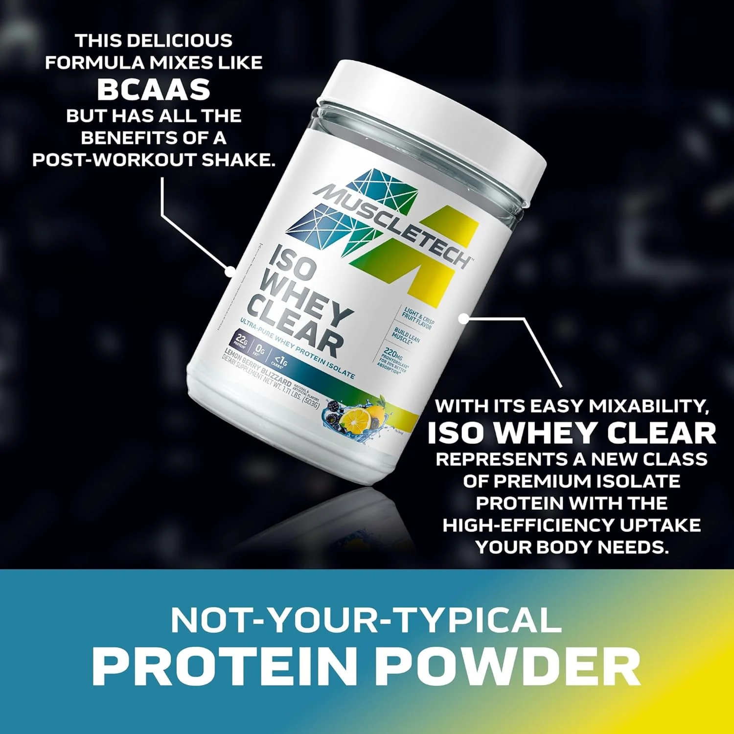 پودر پروتئین وی ایزوله فوق خالص Muscletech ISO Whey Clear Prohydrolase، جذب 20% بهتر، بهبود سلامت روده و هضم - 22 گرم پروتئین، 1 گرم کربوهیدرات و 0 چربی یا شکر، لیمون بری بلیزارد، 1.10 پوند پودر پروتئین وی ایزوله فوق خالص Muscletech ISO Whey Clear Prohydrolase، جذب 20% بهتر، بهبود سلامت روده و هضم - 22 گرم پروتئین، 1 گرم کربوهیدرات و 0 چربی یا شکر، لیمون بری بلیزارد، 1.10 پوند