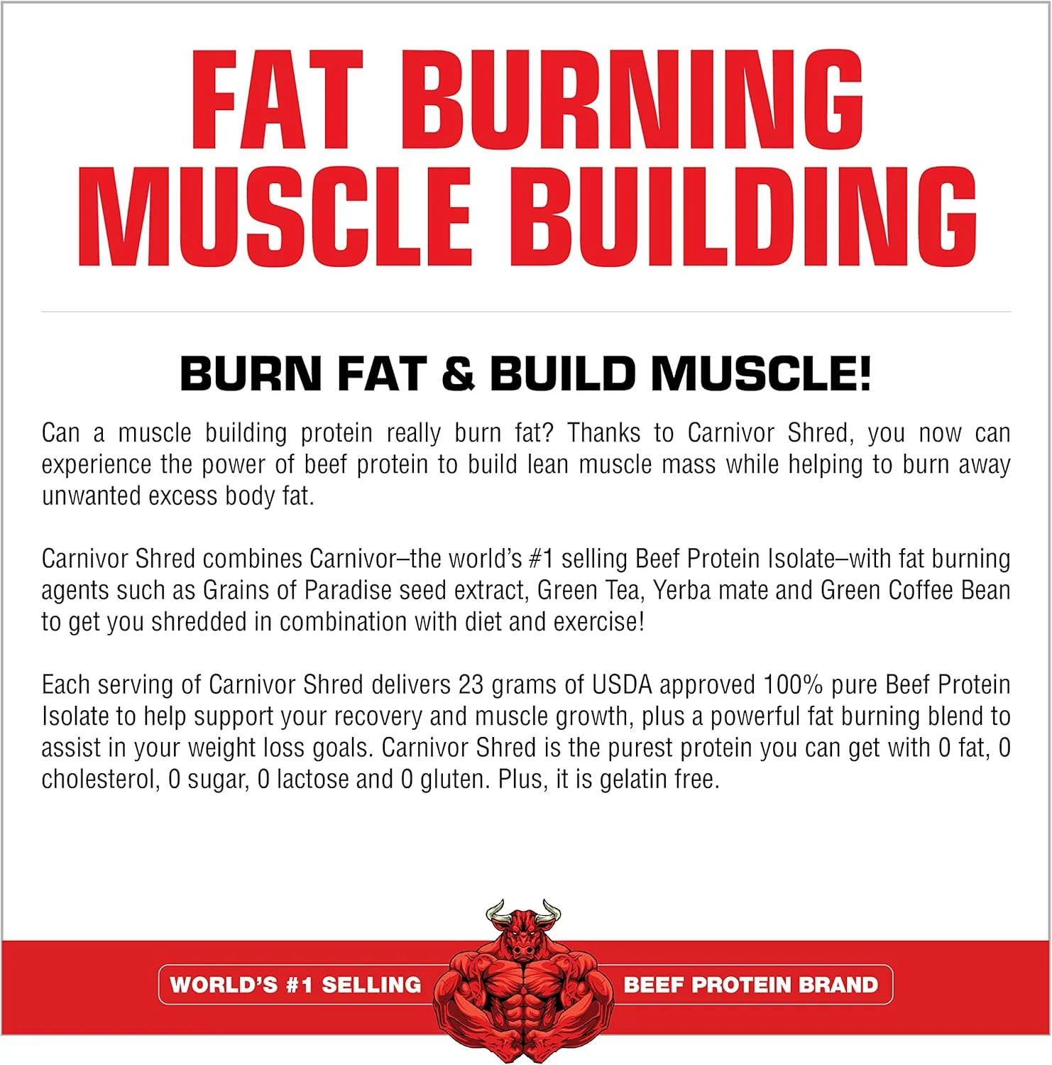 MuscleMeds Carnivor Shred پروتئین ایزوله گوشت گاو هیدرولیز شده چربی سوز، بدون لاکتوز، بدون شکر، بدون چربی، شکلاتی، 4.36 پوند - حلال MuscleMeds Carnivor Shred پروتئین ایزوله گوشت گاو هیدرولیز شده چربی سوز، بدون لاکتوز، بدون شکر، بدون چربی، شکلاتی، 4.36 پوند - حلال