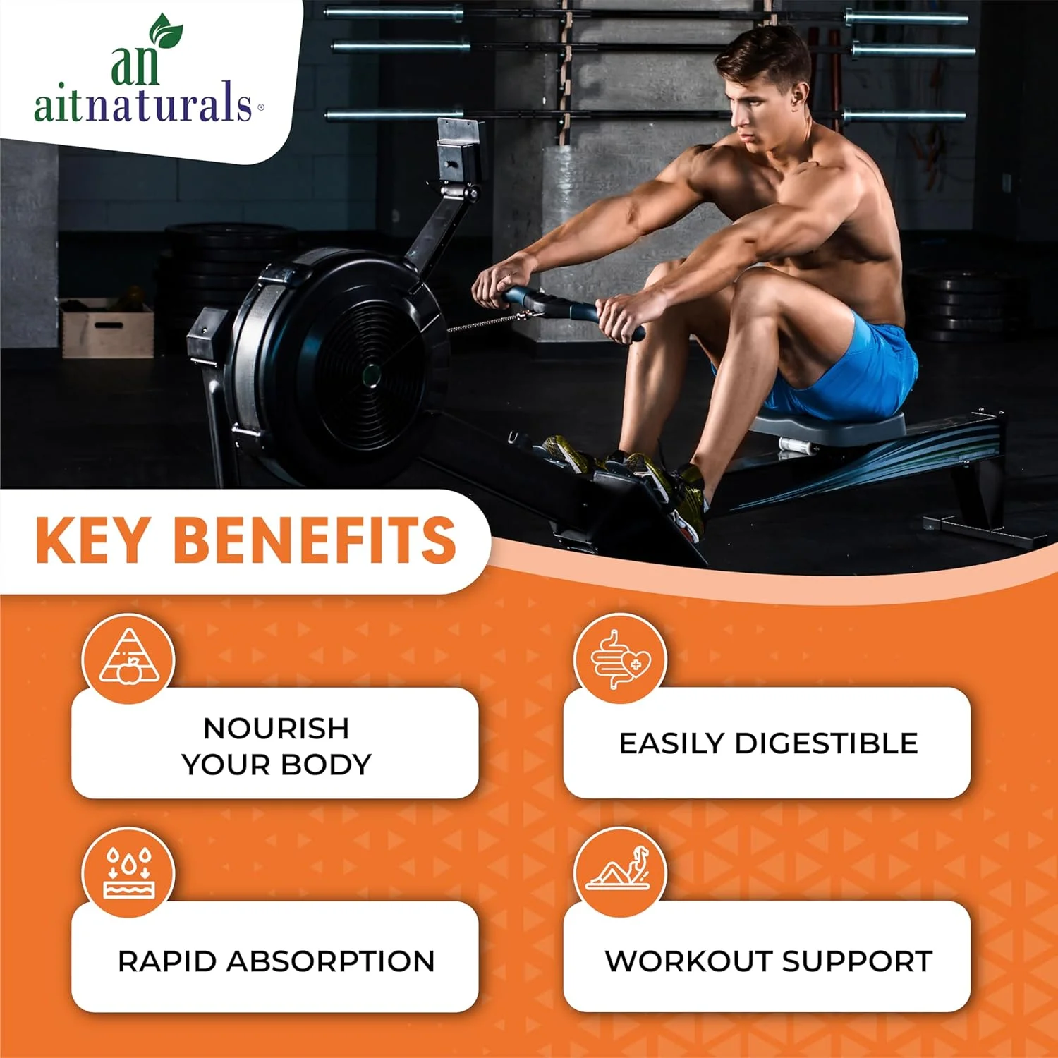 پودر پروتئین ارگانیک گیاهی Aitnaturals با طعم وانیل فرانسوی، 1 کیلوگرم، 2.2 پوند، 25 سروینگ - 20 گرم پروتئین نخود فرنگی در هر سروینگ | ایده آل برای اسموتی ها و شیک ها | پشتیبانی از رشد عضلات و ریکاوری بعد از تمرین، وگان پودر پروتئین ارگانیک گیاهی Aitnaturals با طعم وانیل فرانسوی، 1 کیلوگرم، 2.2 پوند، 25 سروینگ - 20 گرم پروتئین نخود فرنگی در هر سروینگ | ایده آل برای اسموتی ها و شیک ها | پشتیبانی از رشد عضلات و ریکاوری بعد از تمرین، وگان