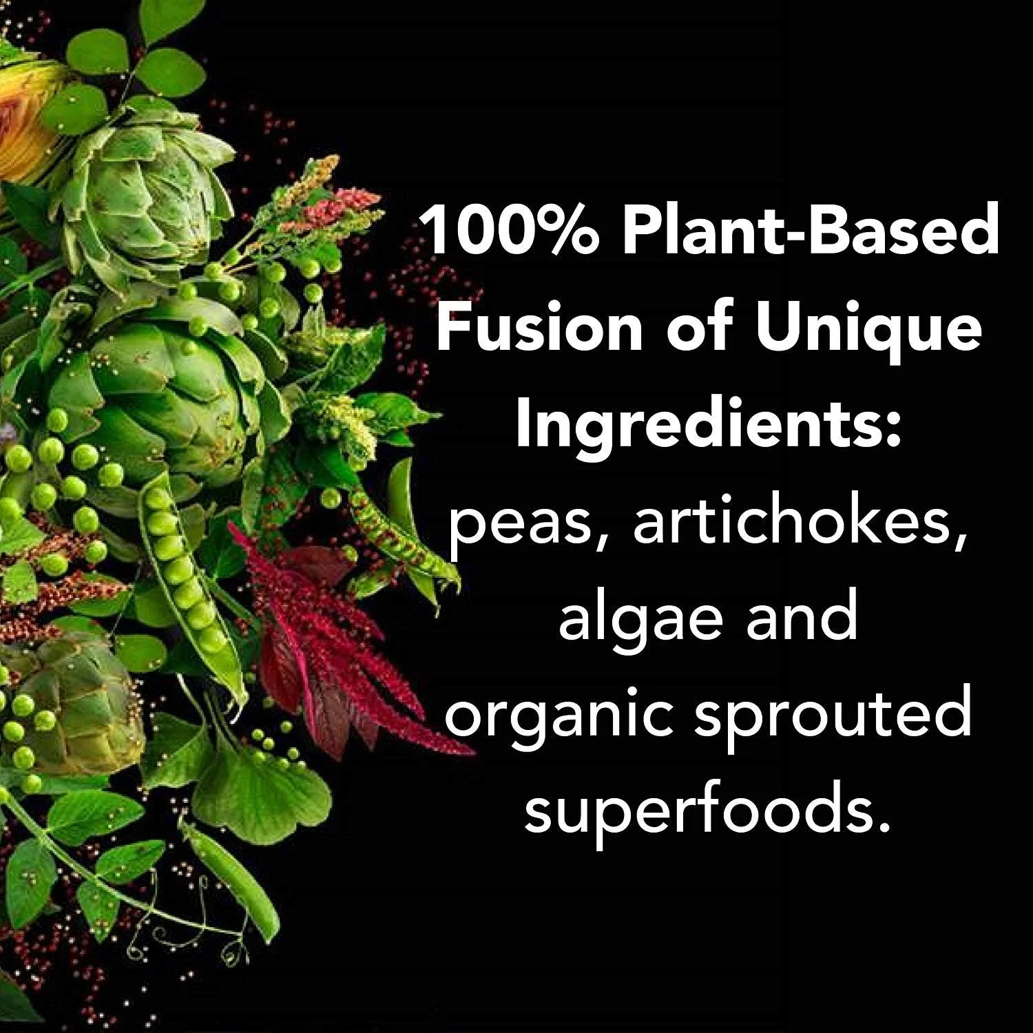 پودر پروتئین گیاهی کامل PlantFusion، بدون گلوتن، وگان، وانیلی، 2 پوند پودر پروتئین گیاهی کامل PlantFusion، بدون گلوتن، وگان، وانیلی، 2 پوند