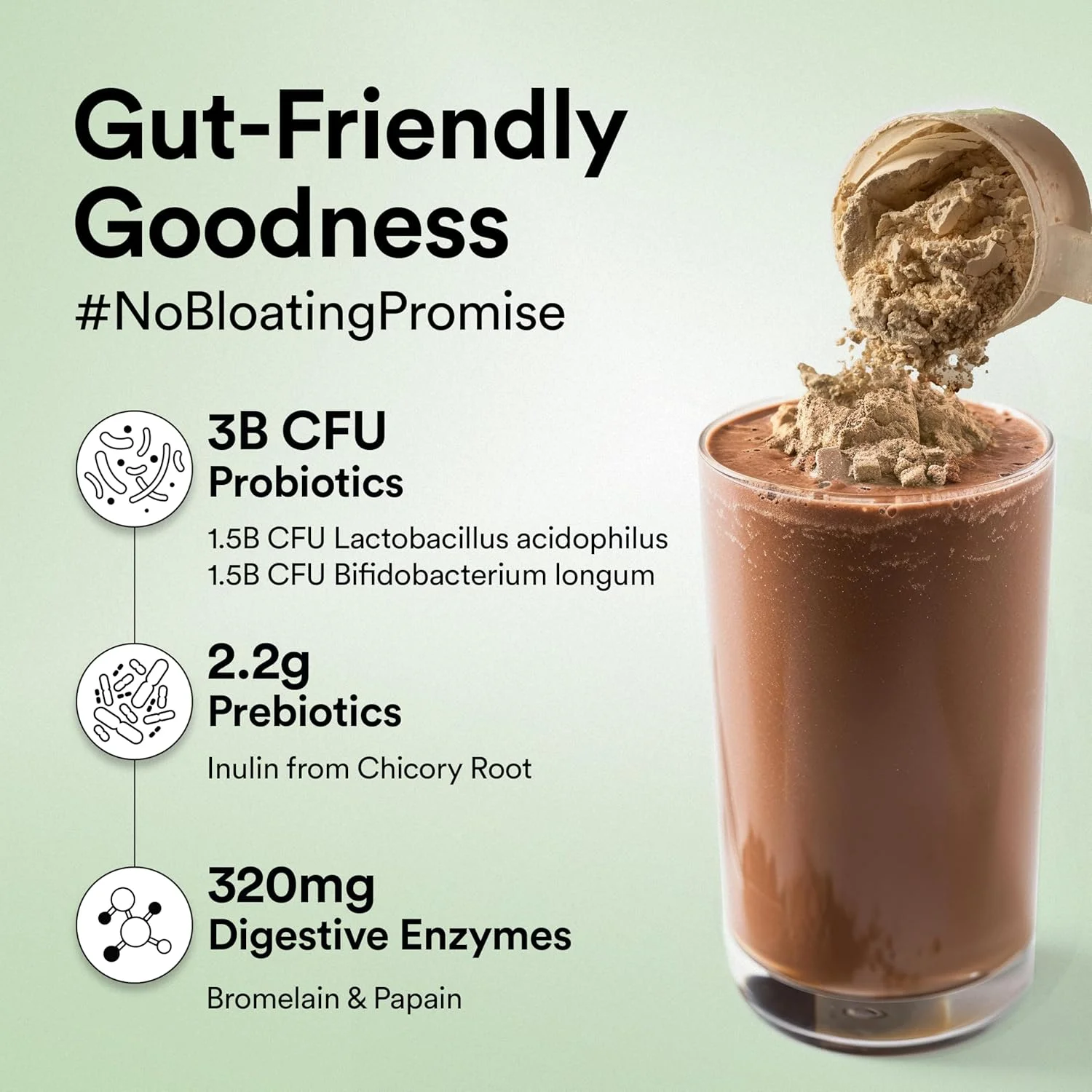 پودر پروتئین گیاهی ایزوله ارگانیک Wellbeing Nutrition | 22 گرم پروتئین، 5 گرم BCAA پروتئین نخود فرنگی و برنج قهوه ای اروپایی | سوپرفودها، فیبر برای رشد و ریکاوری عضلات | شکلات تلخ - 500 گرم