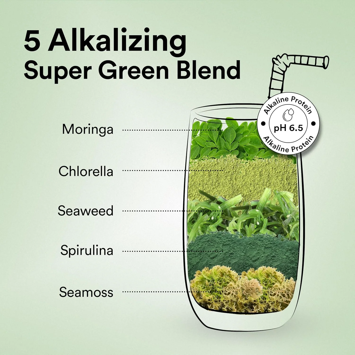 پودر پروتئین گیاهی ایزوله ارگانیک Wellbeing Nutrition | 22 گرم پروتئین، 5 گرم BCAA پروتئین نخود فرنگی و برنج قهوه ای اروپایی | سوپرفودها، فیبر برای رشد و ریکاوری عضلات | شکلات تلخ - 500 گرم