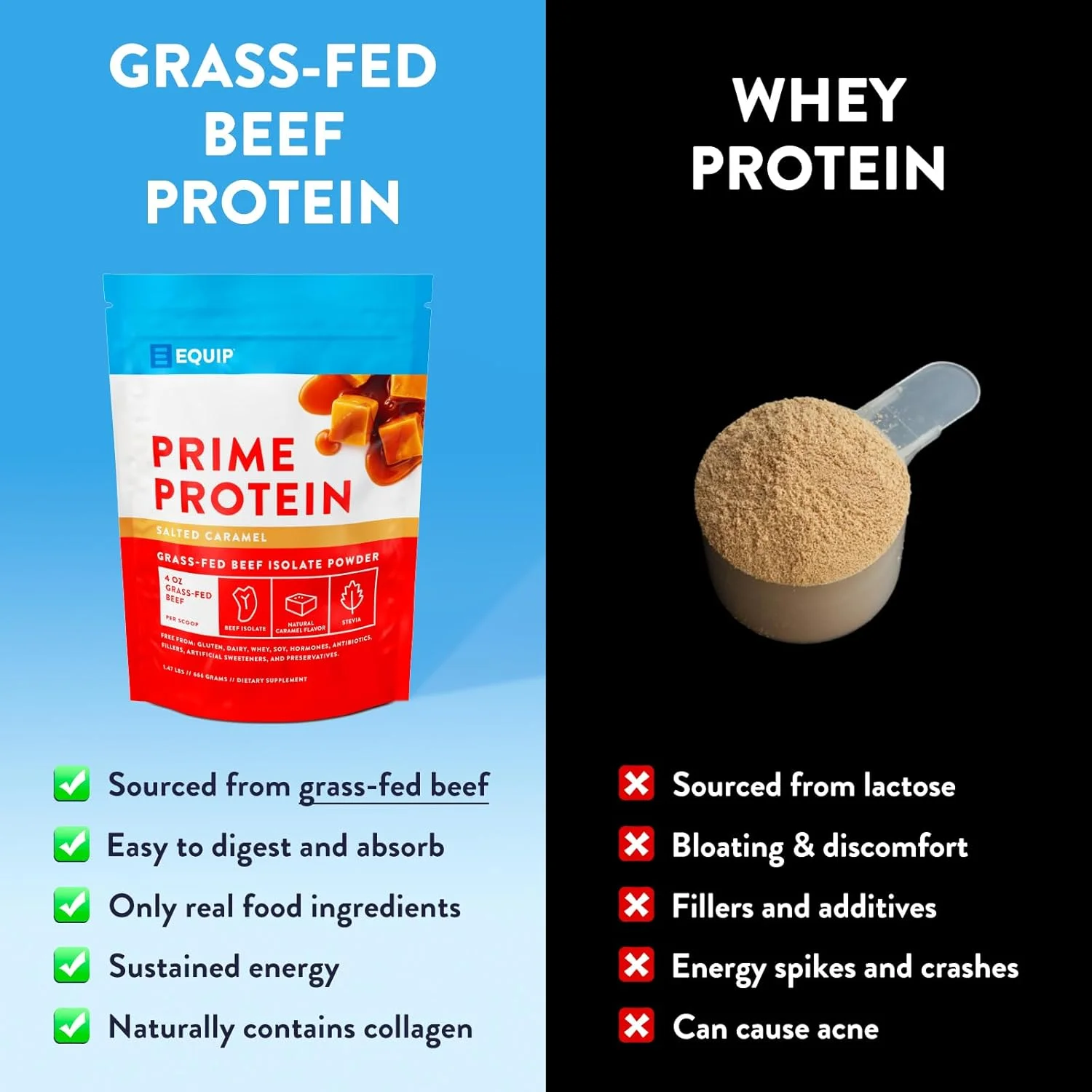 پروتئین پرایم Equip Foods - پودر پروتئین ایزوله گوشت گاو تغذیه شده با علف - مناسب برای رژیم پالئو و کتو، پودر پروتئین گوشتخوار بدون گلوتن - کارامل نمکی، 1.47 پوند - کمک به ساخت و ترمیم بافت پروتئین پرایم Equip Foods - پودر پروتئین ایزوله گوشت گاو تغذیه شده با علف - مناسب برای رژیم پالئو و کتو، پودر پروتئین گوشتخوار بدون گلوتن - کارامل نمکی، 1.47 پوند - کمک به ساخت و ترمیم بافت