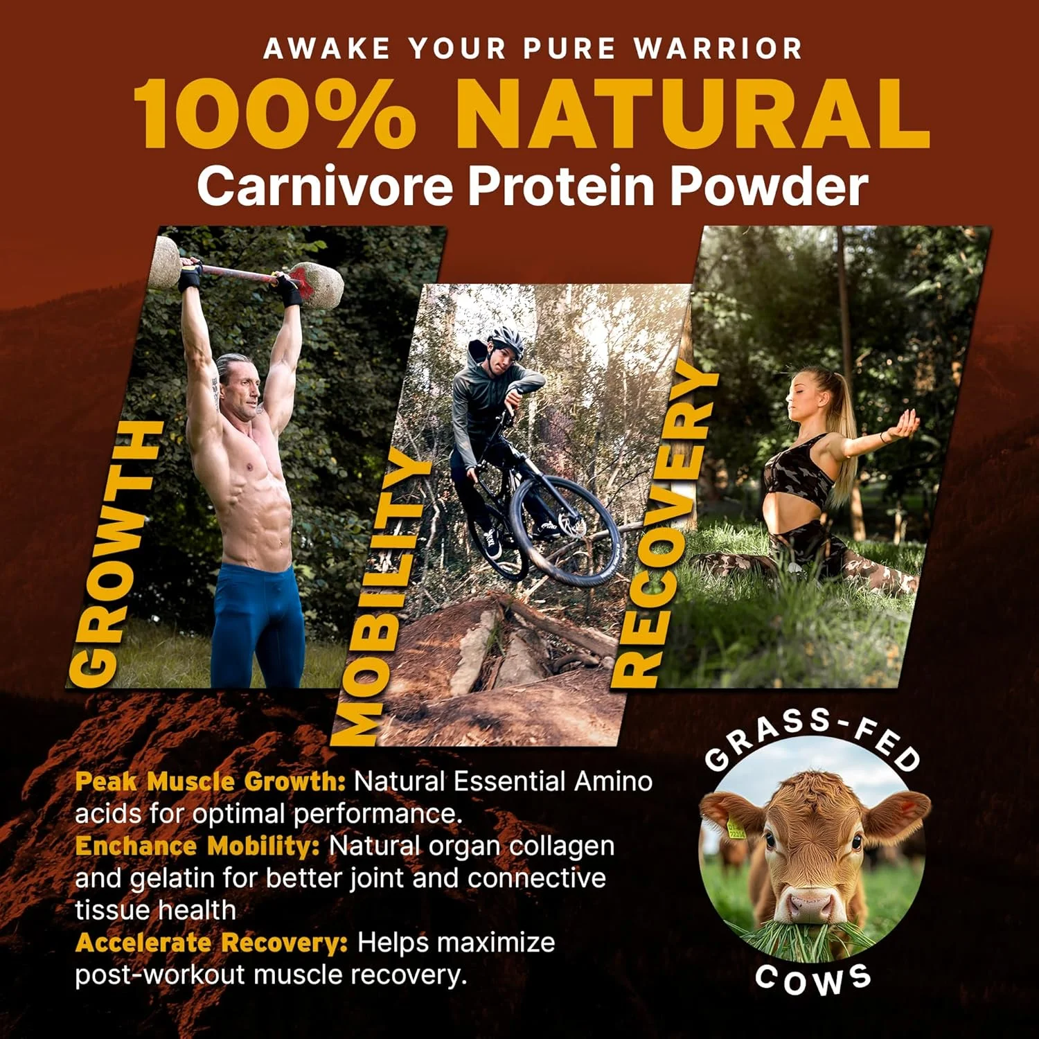 پروتئین کامل کارنیور Paleo Pro (وانیل آزتک) پروتئین چراگاهی و بدون قفس، پیه گاو تغذیه شده با علف، اندام های گاو | بدون شکر، سویا، غلات یا کربوهیدرات خالص | بدون گلوتن و ماکروهای کتو (15 سروینگ) پروتئین کامل کارنیور Paleo Pro (وانیل آزتک) پروتئین چراگاهی و بدون قفس، پیه گاو تغذیه شده با علف، اندام های گاو | بدون شکر، سویا، غلات یا کربوهیدرات خالص | بدون گلوتن و ماکروهای کتو (15 سروینگ)