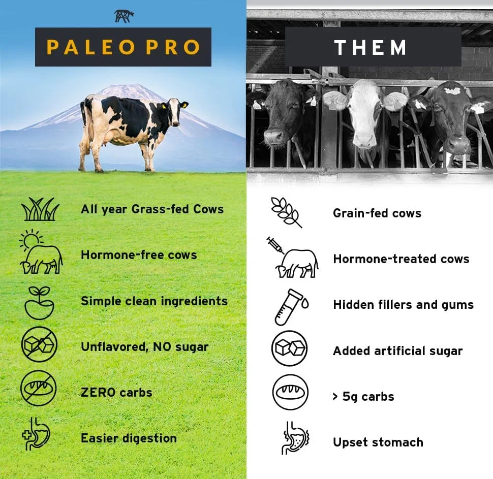 پروتئین کامل کارنیور Paleo Pro (وانیل آزتک) پروتئین چراگاهی و بدون قفس، پیه گاو تغذیه شده با علف، اندام های گاو | بدون شکر، سویا، غلات یا کربوهیدرات خالص | بدون گلوتن و ماکروهای کتو (15 سروینگ) پروتئین کامل کارنیور Paleo Pro (وانیل آزتک) پروتئین چراگاهی و بدون قفس، پیه گاو تغذیه شده با علف، اندام های گاو | بدون شکر، سویا، غلات یا کربوهیدرات خالص | بدون گلوتن و ماکروهای کتو (15 سروینگ)