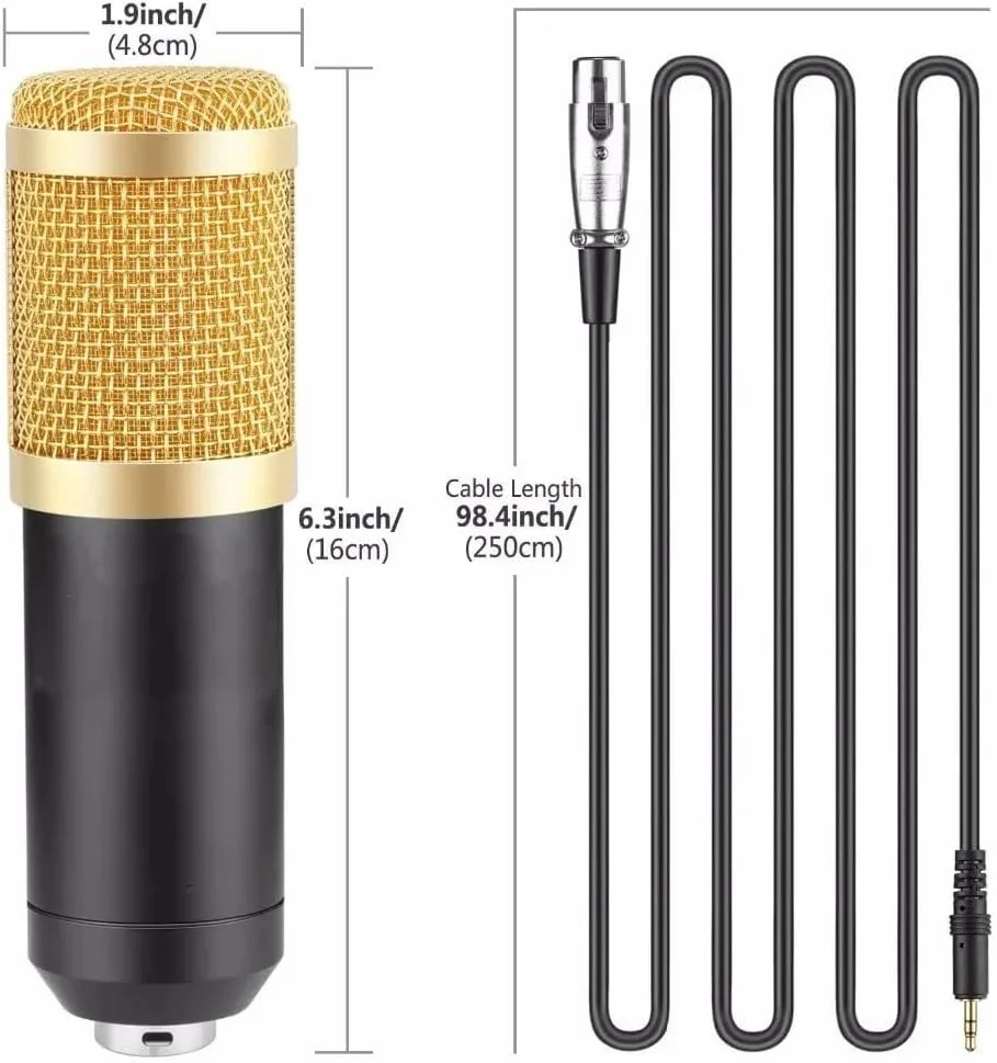 میکروفون ضبط صدا خازنی eWINNER BM-800 به همراه لرزه گیر میکروفون، ایده آل برای استودیو پخش رادیویی، استودیو صداگذاری، ضبط صدا، تجهیزات صوتی بازی های ویدیویی (مشکی و نقره ای)