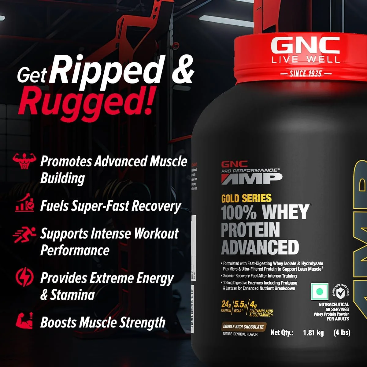 پروتئین وی پیشرفته سری طلایی GNC AMP | 4 پوند | افزایش حجم عضلات خشک | تمرینات شدید | دارای گواهی Informed Choice | 24 گرم پروتئین | 5.5 گرم BCAA | 4 گرم گلوتامین | شکلات دوبل غنی | فرموله شده در ایالات متحده آمریکا پروتئین وی پیشرفته سری طلایی GNC AMP | 4 پوند | افزایش حجم عضلات خشک | تمرینات شدید | دارای گواهی Informed Choice | 24 گرم پروتئین | 5.5 گرم BCAA | 4 گرم گلوتامین | شکلات دوبل غنی | فرموله شده در ایالات متحده آمریکا