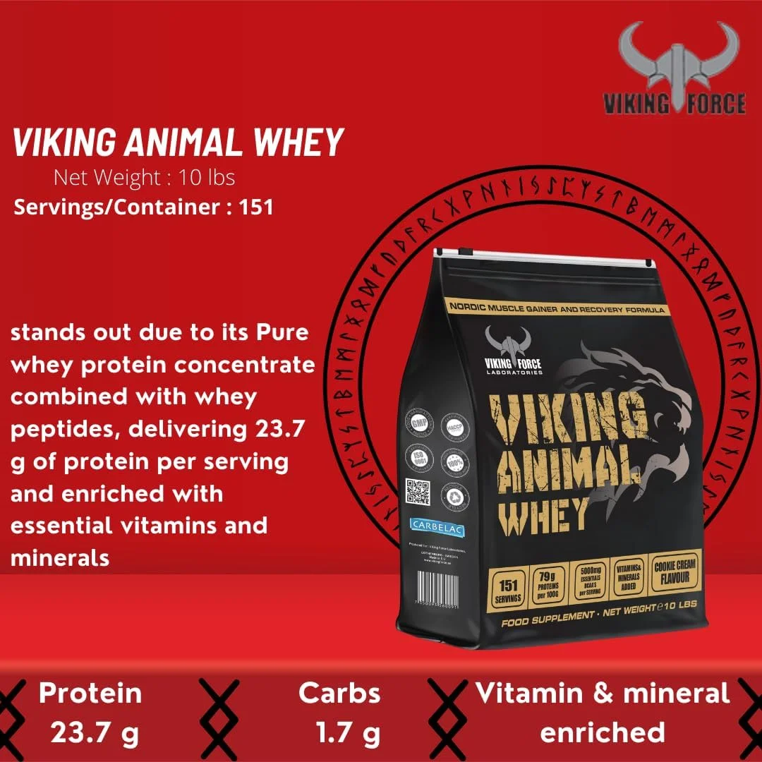 وی پروتئین حیوانی VIKING FORCE - طعم شکلاتی، فرمول عضله ساز و ریکاوری نوردیک، 10 پوند، 151 سروینگ، 23.7 گرم پروتئین در هر سروینگ، با ویتامین ها و مواد معدنی افزوده وی پروتئین حیوانی VIKING FORCE - طعم شکلاتی، فرمول عضله ساز و ریکاوری نوردیک، 10 پوند، 151 سروینگ، 23.7 گرم پروتئین در هر سروینگ، با ویتامین ها و مواد معدنی افزوده