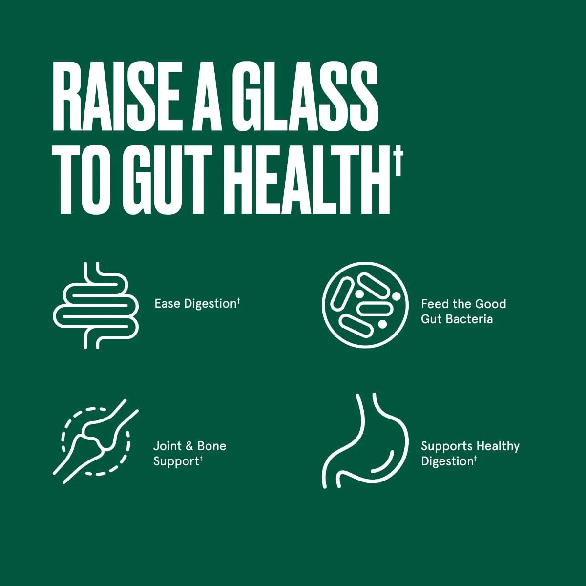 پروتئین کلاژن بدون طعم تقویت کننده سلامت روده بولت پروف، 397 گرم، 10 گرم پپتیدهای کلاژن تغذیه شده با علف برای حمایت از روده، پوست، استخوان و مفاصل پروتئین کلاژن بدون طعم تقویت کننده سلامت روده بولت پروف، 397 گرم، 10 گرم پپتیدهای کلاژن تغذیه شده با علف برای حمایت از روده، پوست، استخوان و مفاصل