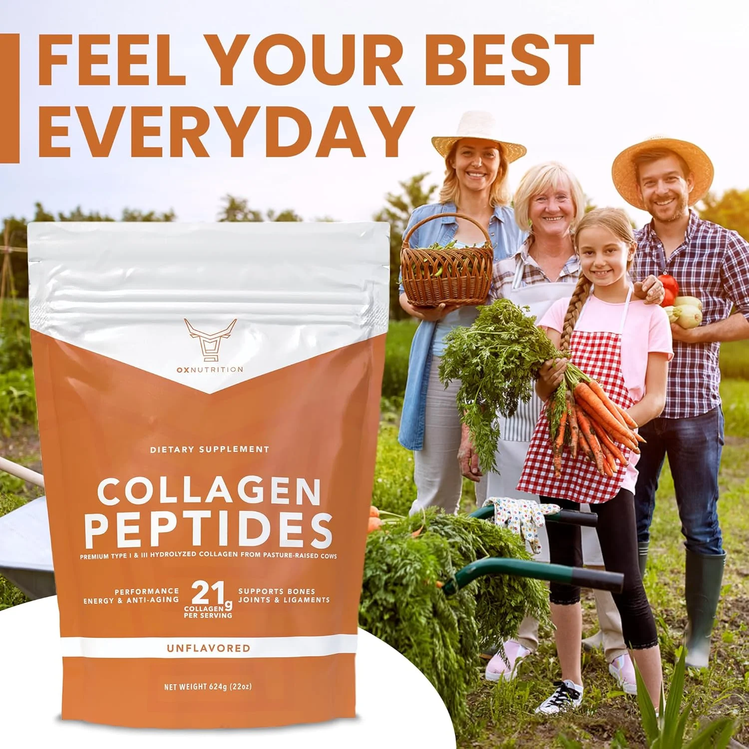 پودر پروتئین کلاژن پپتیدهای هیدرولیز شده خالص XL 650ml منبع حیاتی پروتئین تغذیه شده با علف و ارگانیک غنی از اسیدهای آمینه پالئو، کتو، WHOLE30 ضد پیری، تقویت کننده پوست بدون طعم پودر پروتئین کلاژن پپتیدهای هیدرولیز شده خالص XL 650ml منبع حیاتی پروتئین تغذیه شده با علف و ارگانیک غنی از اسیدهای آمینه پالئو، کتو، WHOLE30 ضد پیری، تقویت کننده پوست بدون طعم