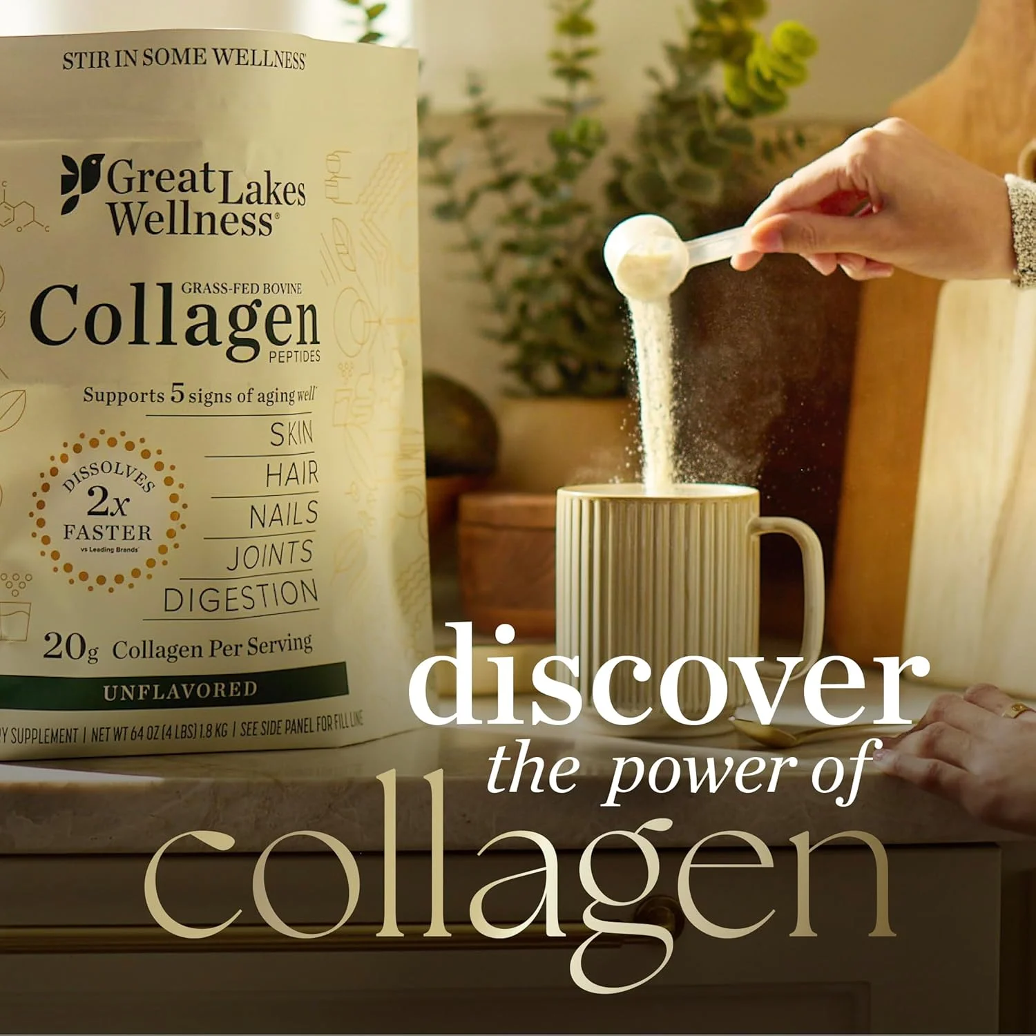 پودر پپتیدهای کلاژن Great Lakes Wellness برای پوست، مو، ناخن، مفاصل و هضم - با طعم شکلات - هیدرولیز شده با قابلیت حل سریع، غیر GMO، کوشر - 283 گرم پودر پپتیدهای کلاژن Great Lakes Wellness برای پوست، مو، ناخن، مفاصل و هضم - با طعم شکلات - هیدرولیز شده با قابلیت حل سریع، غیر GMO، کوشر - 283 گرم