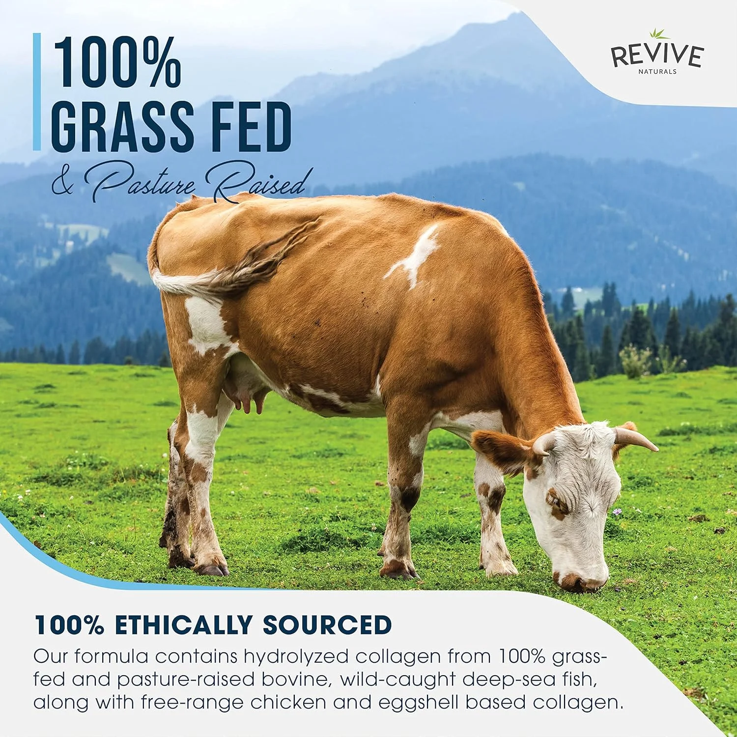 پودر پروتئین هیدرولیز شده کلاژن چندگانه (453 گرم) - انواع I، II، III، V & X - تهیه شده از گاو تغذیه شده با علف، ماهی صید شده در طبیعت، آبگوشت استخوان گاو تغذیه شده با علف، آبگوشت استخوان مرغ و پوست تخم مرغ، غیر GMO، بدون گلوتن. پودر پروتئین هیدرولیز شده کلاژن چندگانه (453 گرم) - انواع I، II، III، V & X - تهیه شده از گاو تغذیه شده با علف، ماهی صید شده در طبیعت، آبگوشت استخوان گاو تغذیه شده با علف، آبگوشت استخوان مرغ و پوست تخم مرغ، غیر GMO، بدون گلوتن.