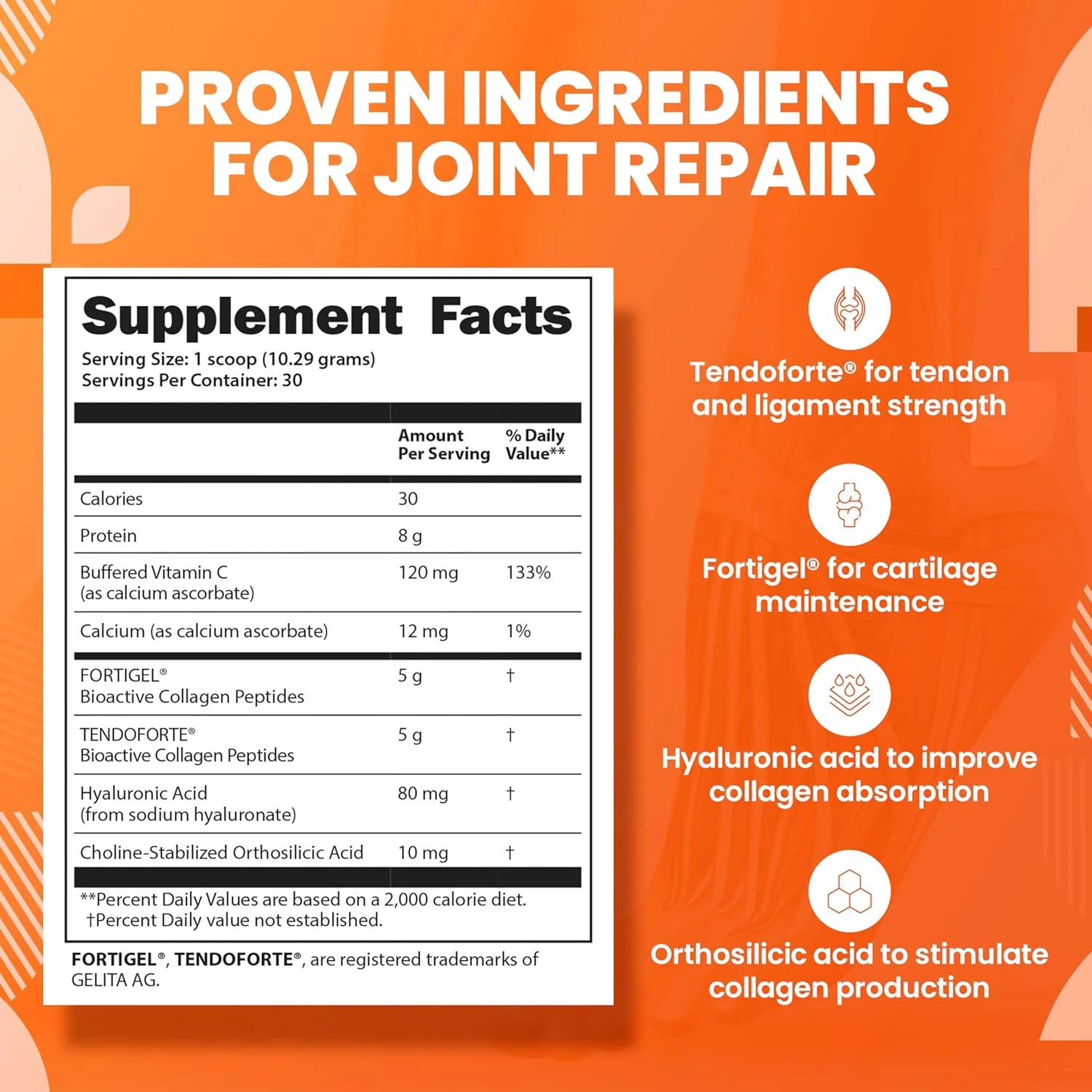 SaltWrap Collagen Synthesis - پپتیدهای کلاژن دارای گواهینامه NSF برای ترمیم مفاصل با Fortigel & Tendoforte - پشتیبانی از تاندون ها، رباط ها، غضروف، ترمیم قبل و بعد از تمرین SaltWrap Collagen Synthesis - پپتیدهای کلاژن دارای گواهینامه NSF برای ترمیم مفاصل با Fortigel & Tendoforte - پشتیبانی از تاندون ها، رباط ها، غضروف، ترمیم قبل و بعد از تمرین