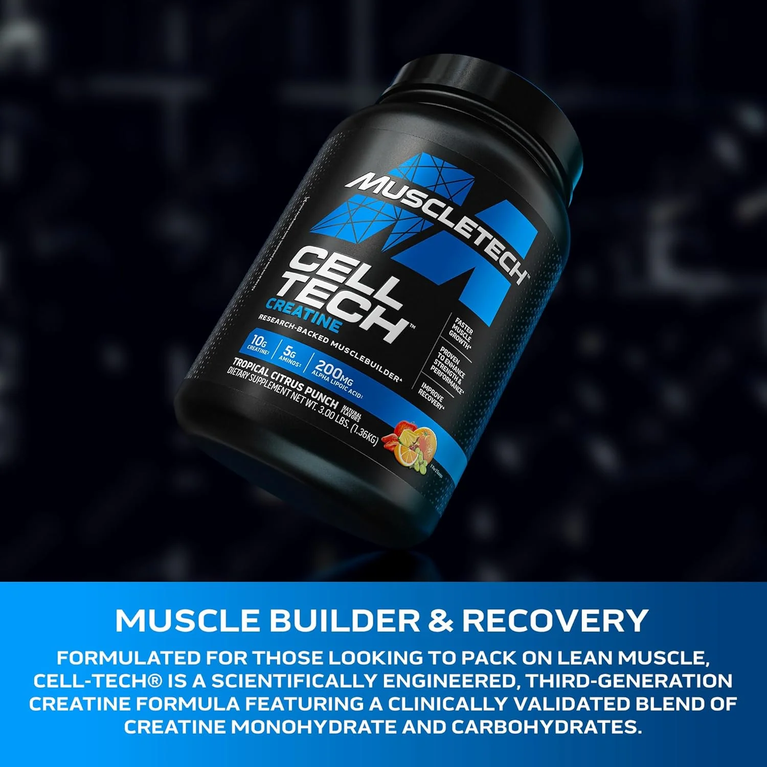 مکمل کراتین و کربوهیدرات عضله ساز MuscleTech Cell Tech با پشتوانه تحقیقاتی، به افزایش قدرت و عملکرد کمک می کند - 10 گرم کراتین، 200 میلی گرم ALA و 5 گرم آمینو + نوشیدنی ماتریکس BCAA، طعم پانچ مرکبات گرمسیری، 3.00 پوند مکمل کراتین و کربوهیدرات عضله ساز MuscleTech Cell Tech با پشتوانه تحقیقاتی، به افزایش قدرت و عملکرد کمک می کند - 10 گرم کراتین، 200 میلی گرم ALA و 5 گرم آمینو + نوشیدنی ماتریکس BCAA، طعم پانچ مرکبات گرمسیری، 3.00 پوند