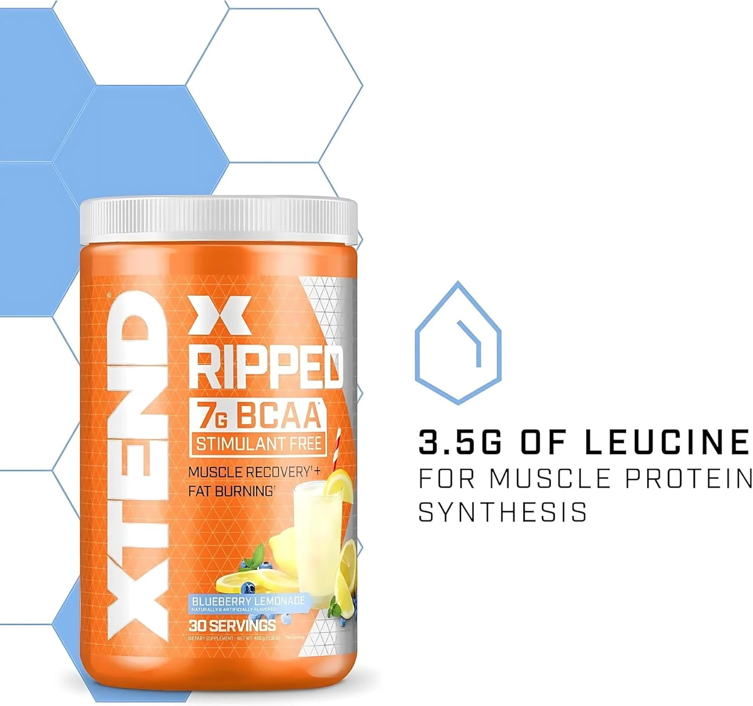 پودر بی سی ای ای XTEND Ripped با طعم بلوبری لیموناد - نوشیدنی ریکاوری عضلات بعد از تمرین بدون شکر با آمینو اسیدها - 7 گرم بی سی ای ای برای مردان و زنان - 30 سروینگ پودر بی سی ای ای XTEND Ripped با طعم بلوبری لیموناد - نوشیدنی ریکاوری عضلات بعد از تمرین بدون شکر با آمینو اسیدها - 7 گرم بی سی ای ای برای مردان و زنان - 30 سروینگ