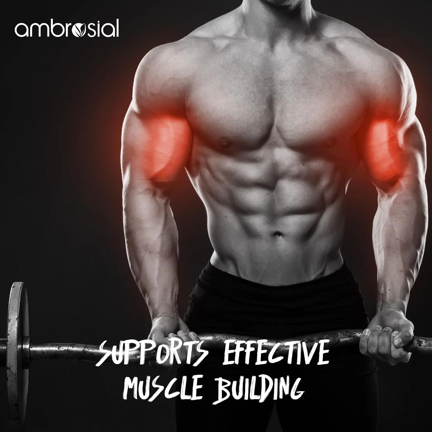 کراتین مونوهیدرات آمبروسیال 450 گرم | تقویت کننده خالص قدرت عضلانی | افزایش طبیعی قدرت و استقامت | مکمل کراتین برای تناسب اندام و بدنسازی | غیر GMO و بدون گلوتن | 90 سروینگ کراتین مونوهیدرات آمبروسیال 450 گرم | تقویت کننده خالص قدرت عضلانی | افزایش طبیعی قدرت و استقامت | مکمل کراتین برای تناسب اندام و بدنسازی | غیر GMO و بدون گلوتن | 90 سروینگ